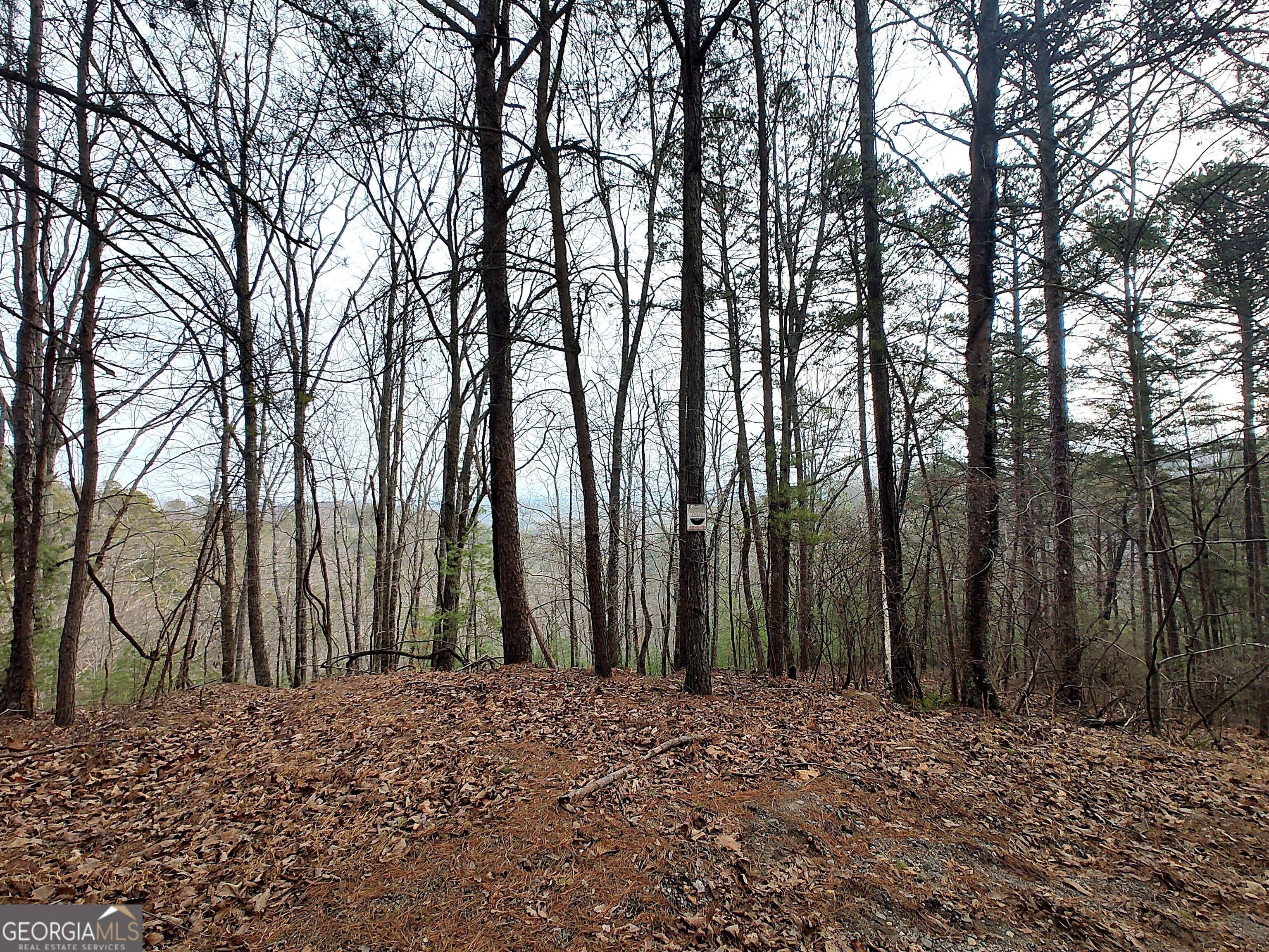 1036 Astro Court NE Ranger GA 30734