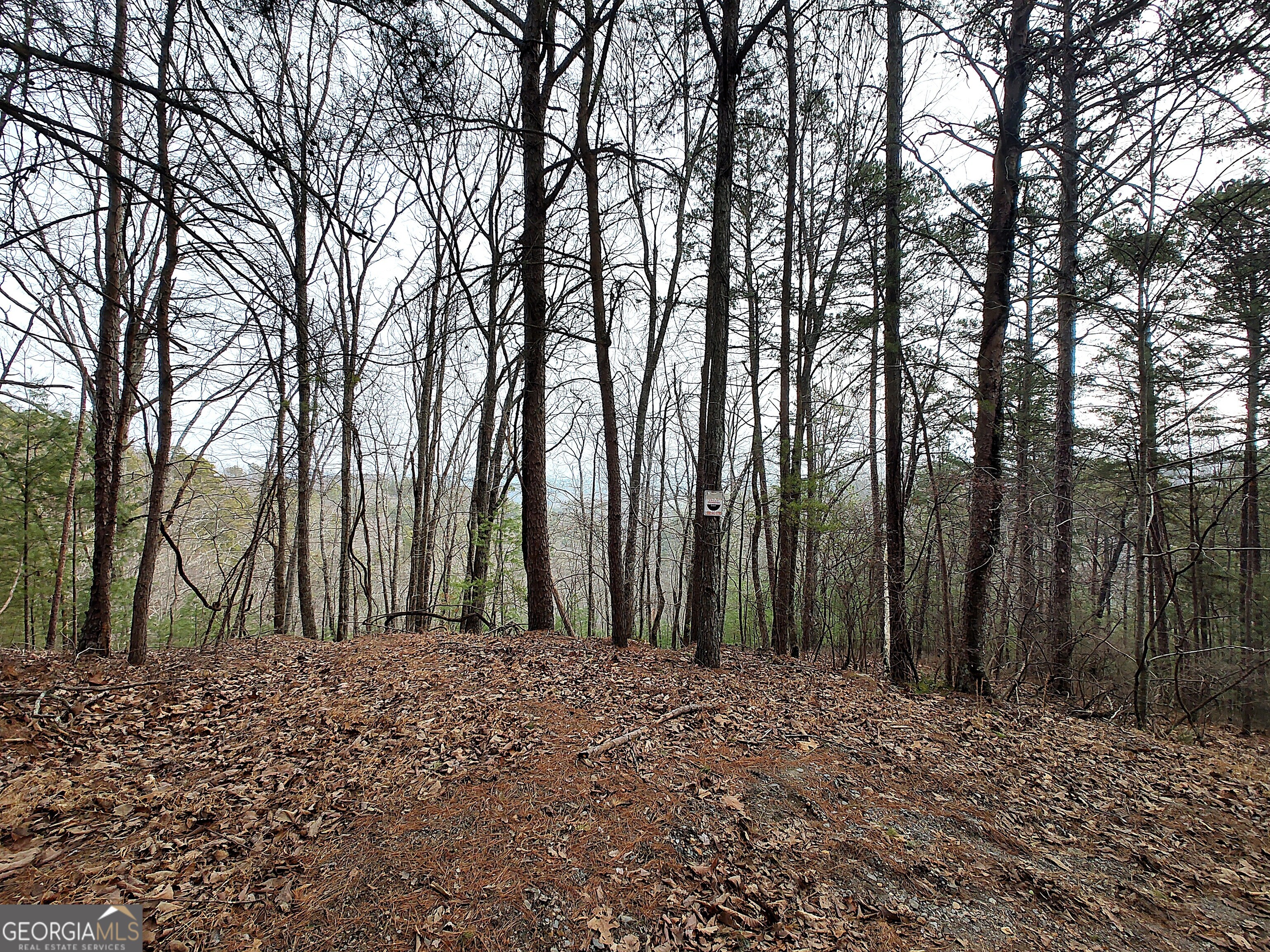 1036 Astro Court NE Ranger GA 30734