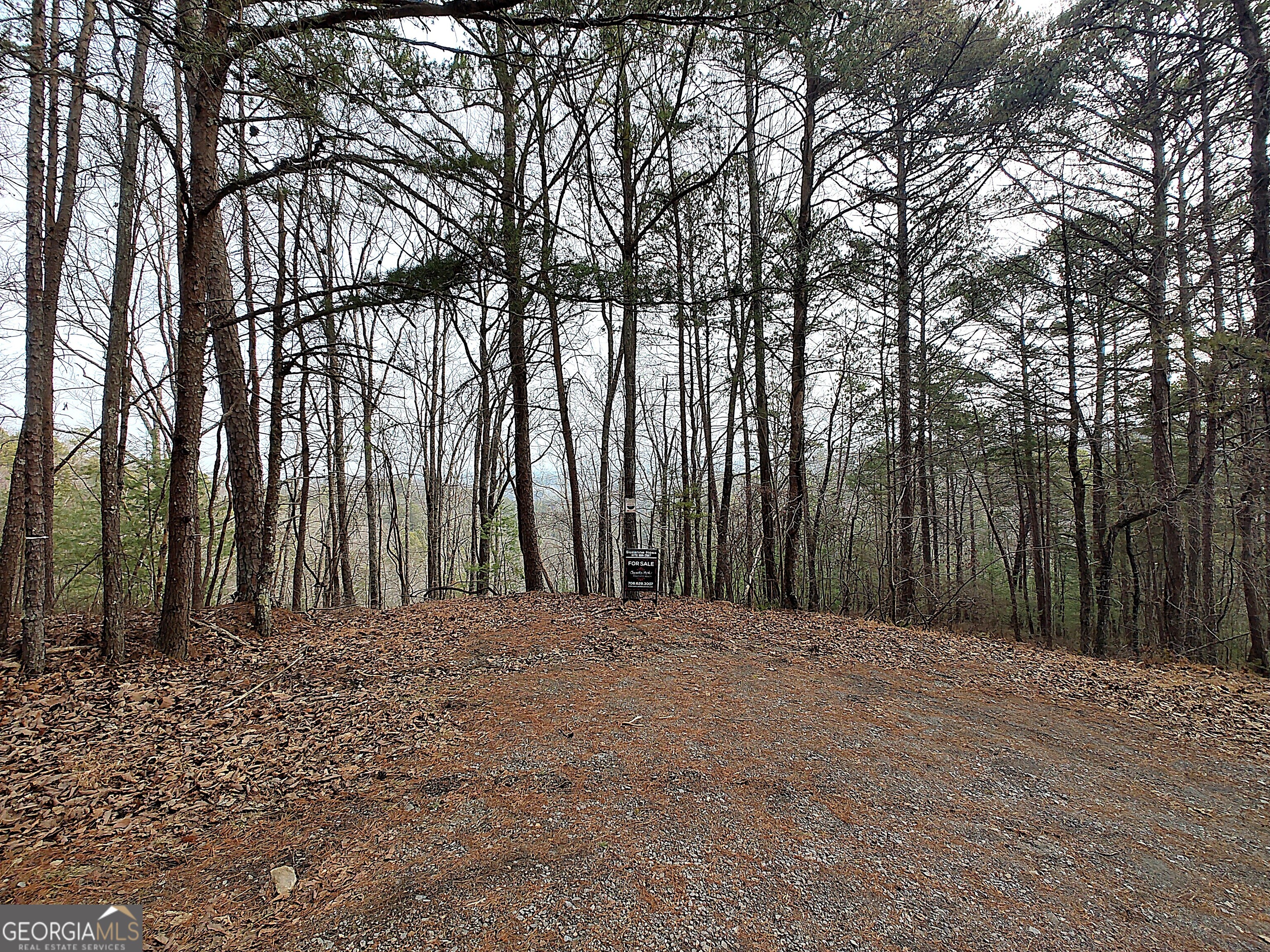 1036 Astro Court NE Ranger GA 30734