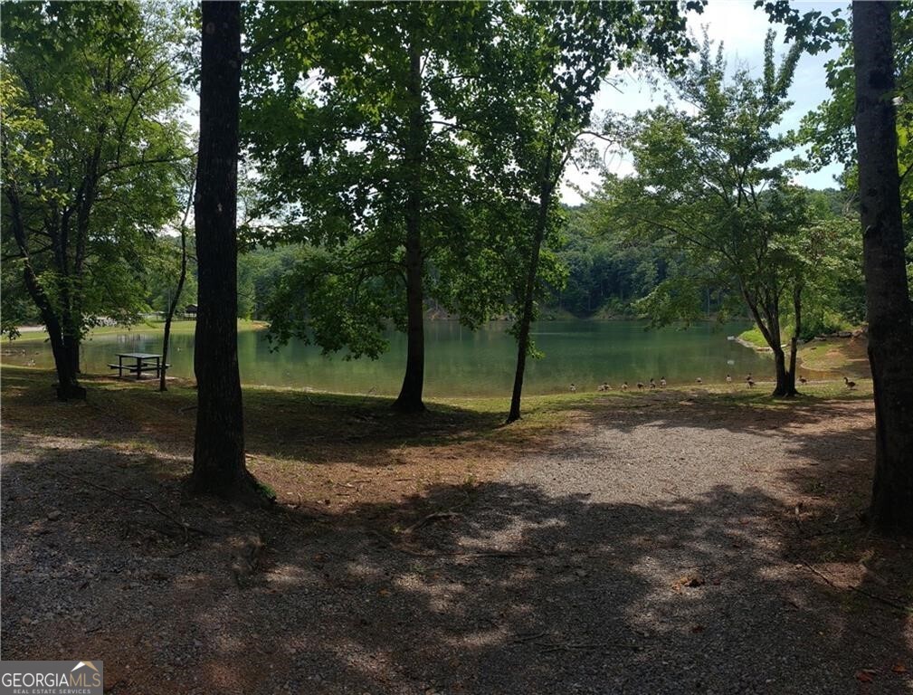 1036 Astro Court NE Ranger GA 30734