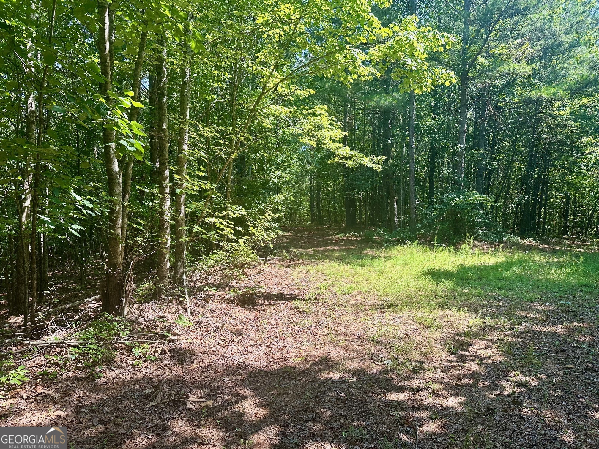 40 Patriot View Drive Dahlonega GA 30533
