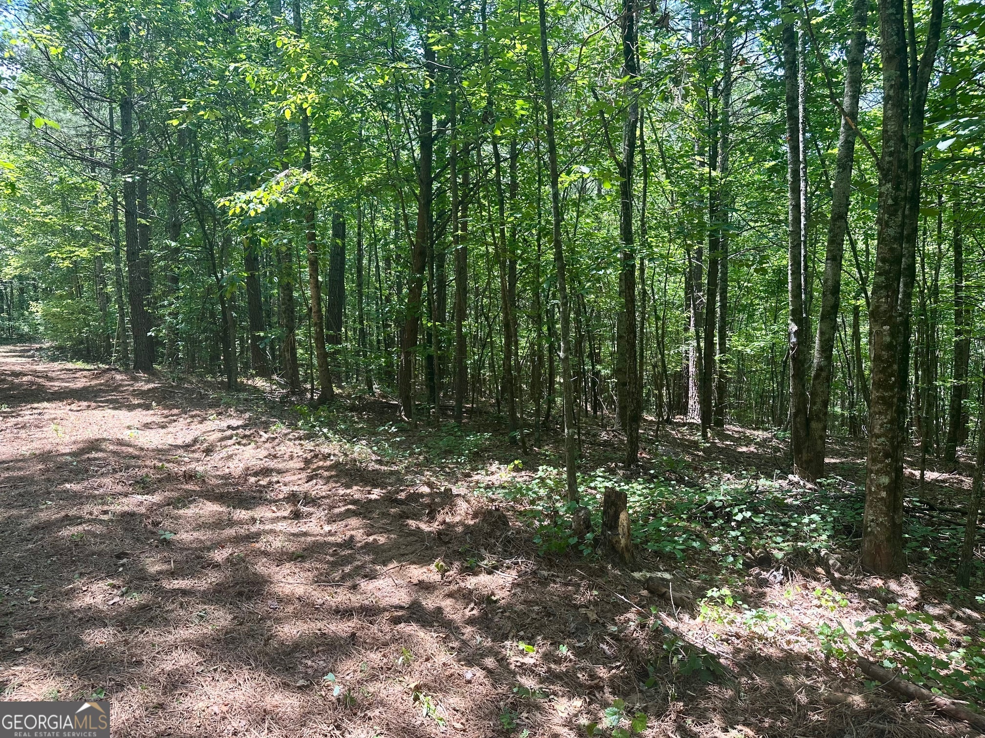 40 Patriot View Drive Dahlonega GA 30533