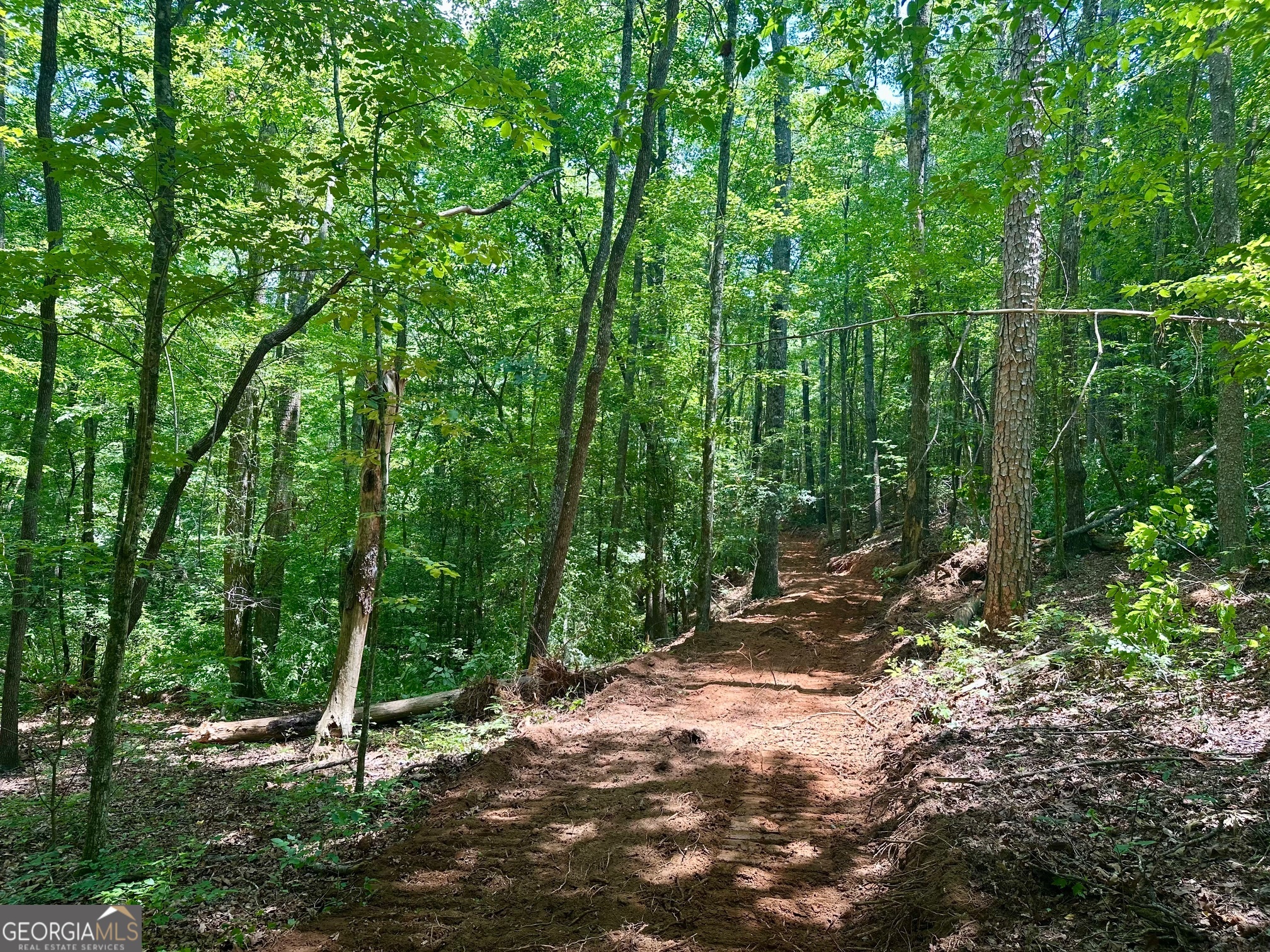 40 Patriot View Drive Dahlonega GA 30533
