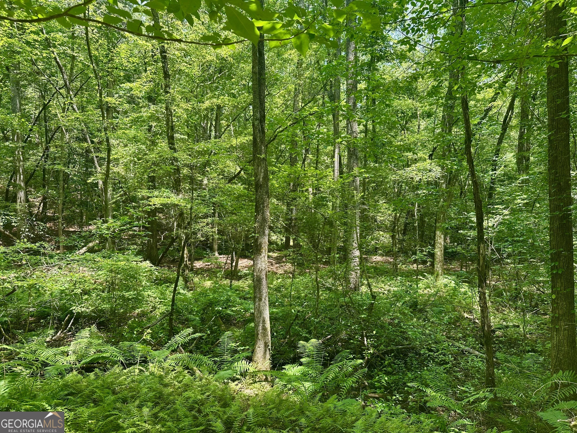 40 Patriot View Drive Dahlonega GA 30533