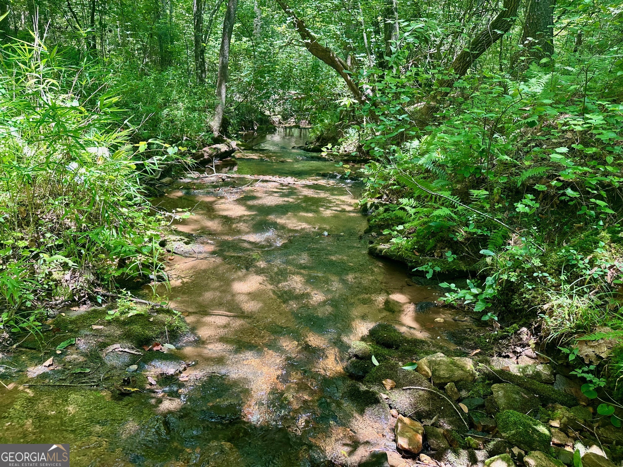 40 Patriot View Drive Dahlonega GA 30533