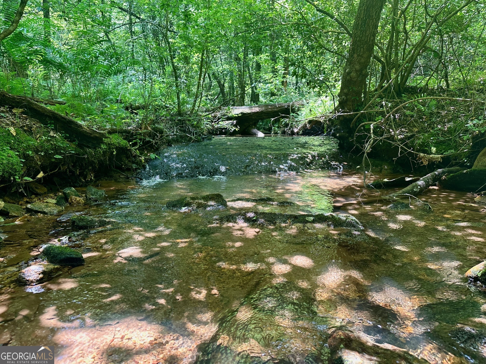 40 Patriot View Drive Dahlonega GA 30533