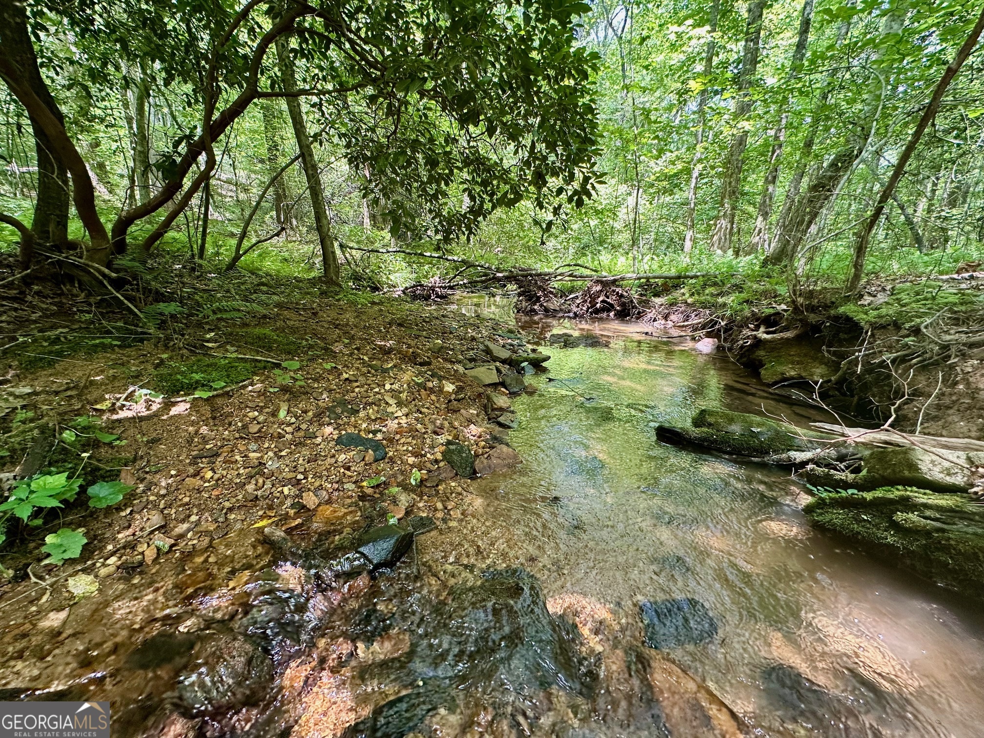 40 Patriot View Drive Dahlonega GA 30533