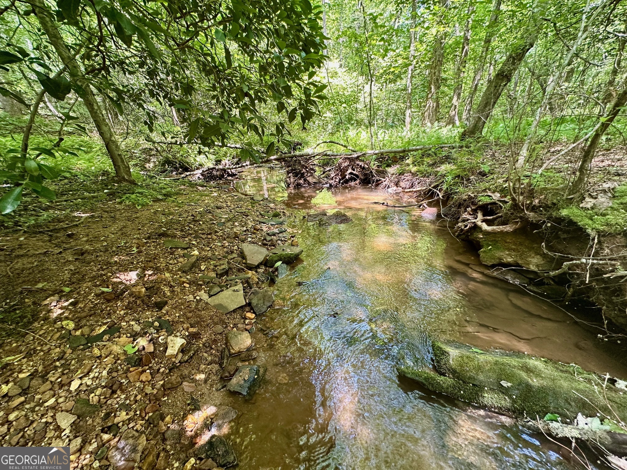 40 Patriot View Drive Dahlonega GA 30533