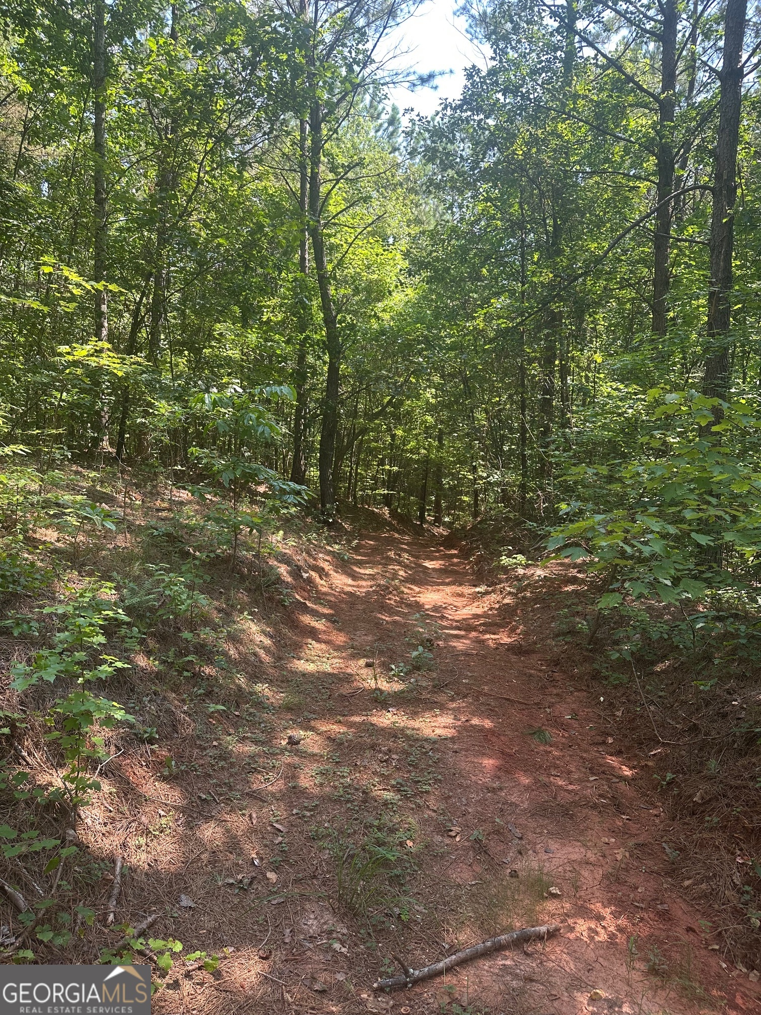 40 Patriot View Drive Dahlonega GA 30533