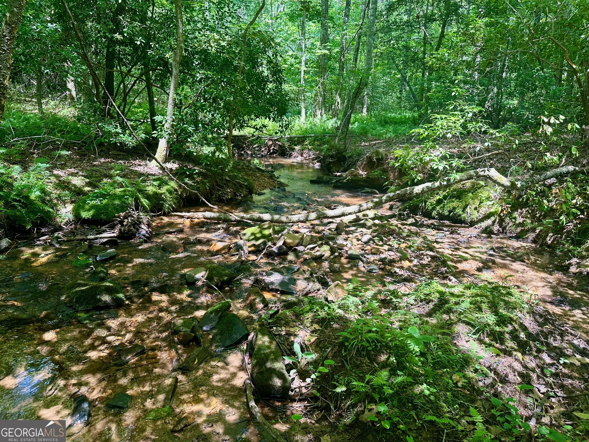 40 Patriot View Drive Dahlonega GA 30533