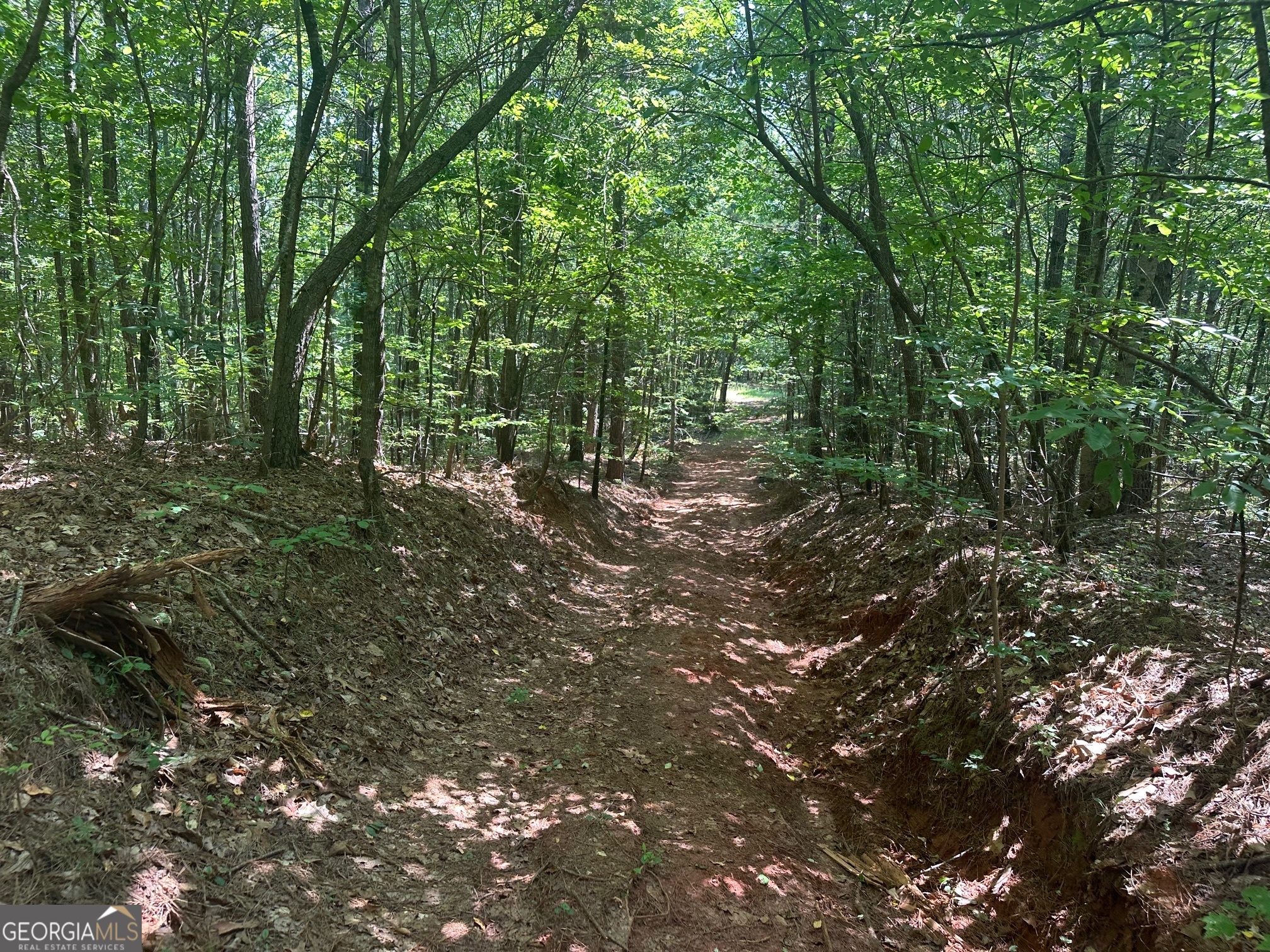40 Patriot View Drive Dahlonega GA 30533