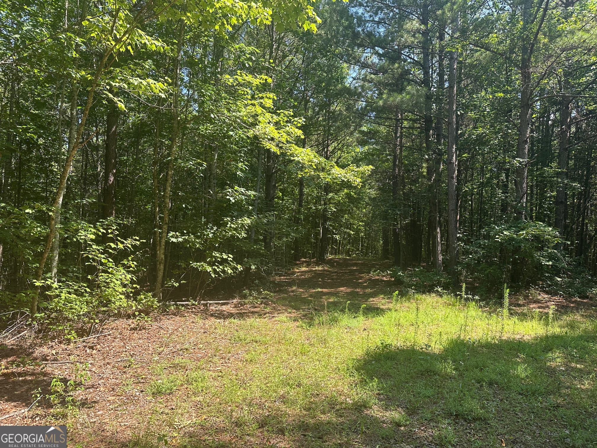 40 Patriot View Drive Dahlonega GA 30533