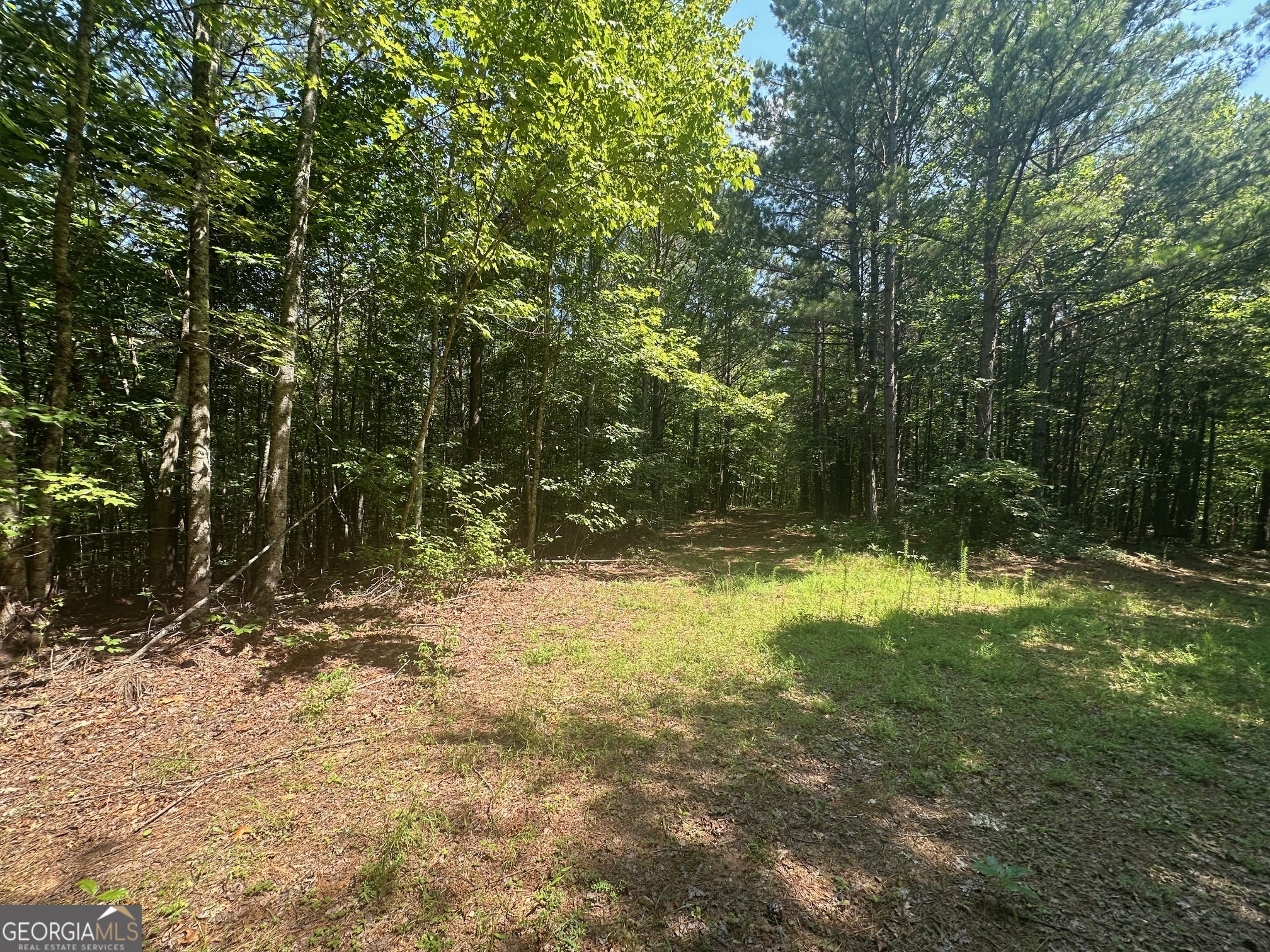 40 Patriot View Drive Dahlonega GA 30533