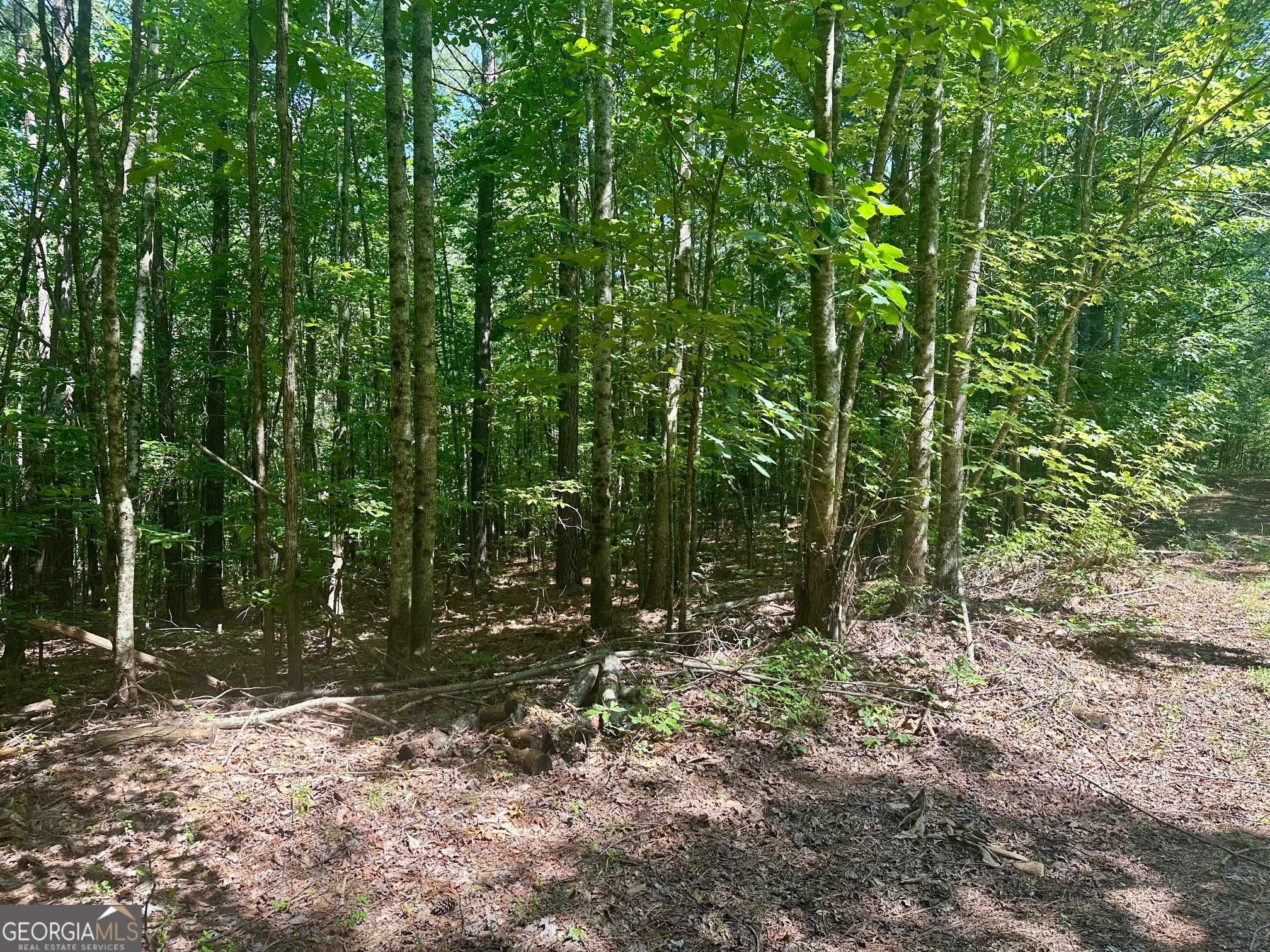 40 Patriot View Drive Dahlonega GA 30533