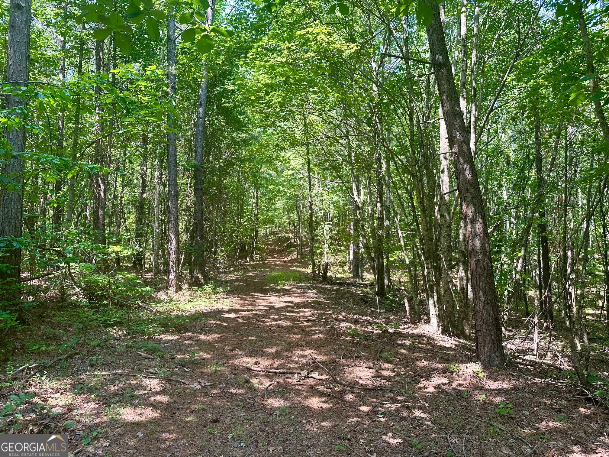 40 Patriot View Drive Dahlonega GA 30533