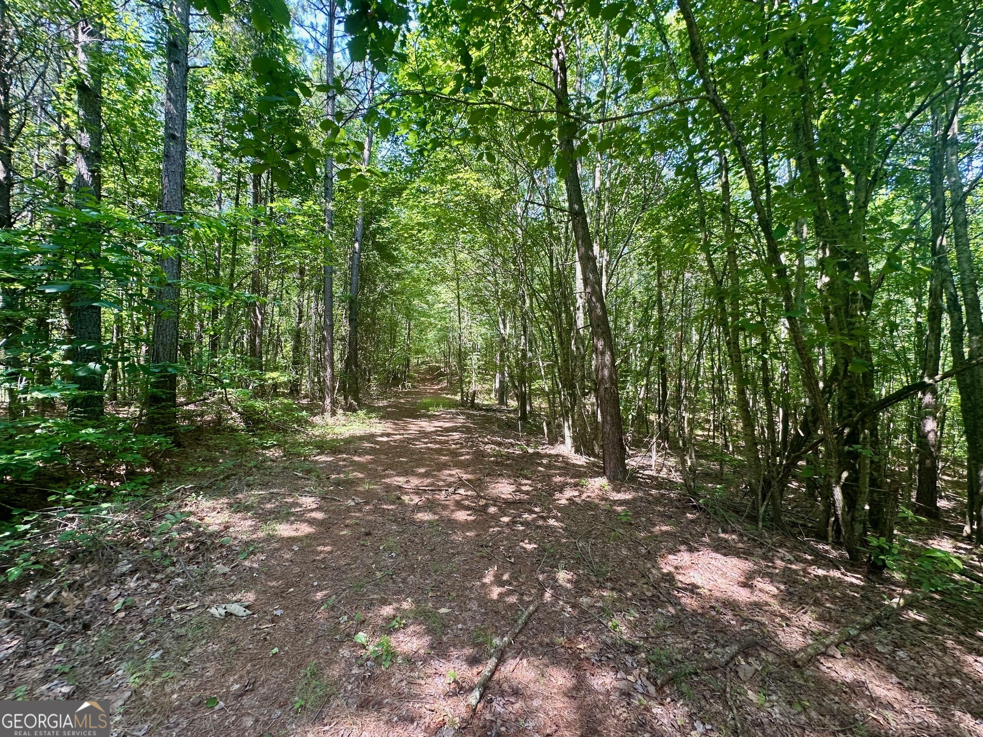 40 Patriot View Drive Dahlonega GA 30533