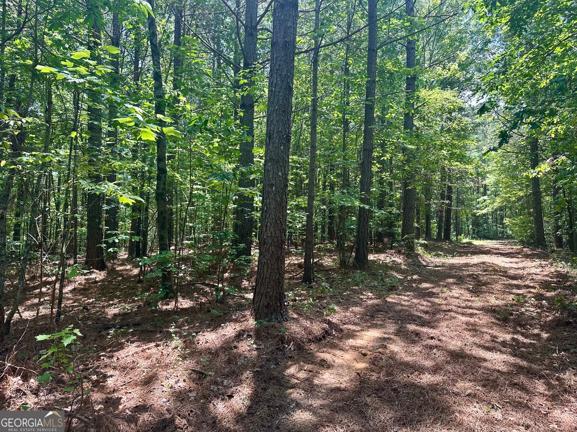 40 Patriot View Drive Dahlonega GA 30533