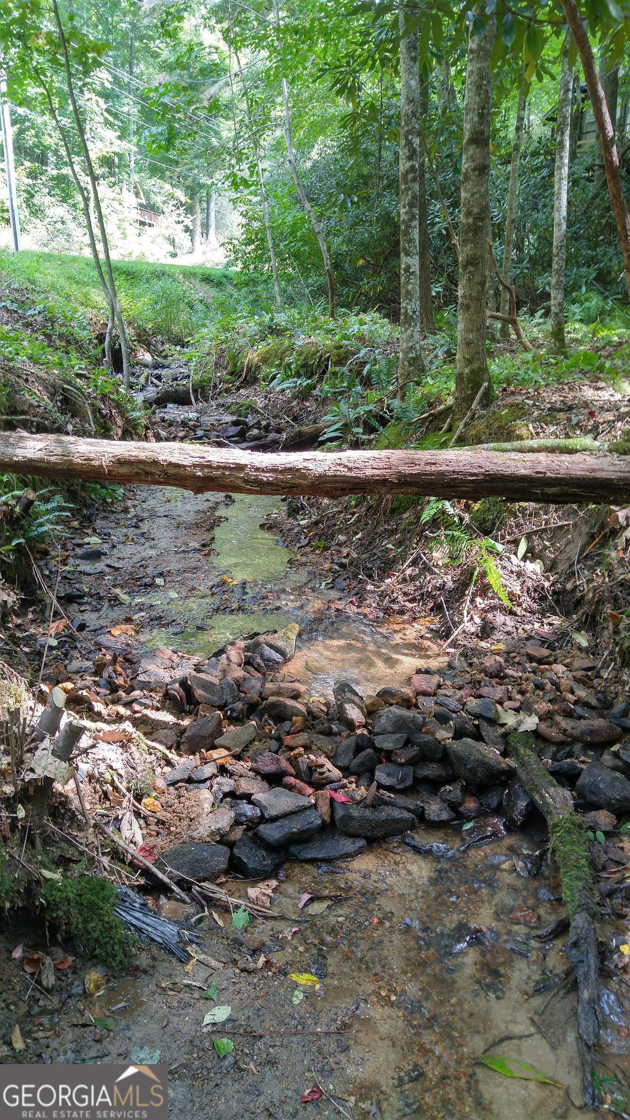 0 Lot 8 Bald Mountain Road Sky Valley GA 30537
