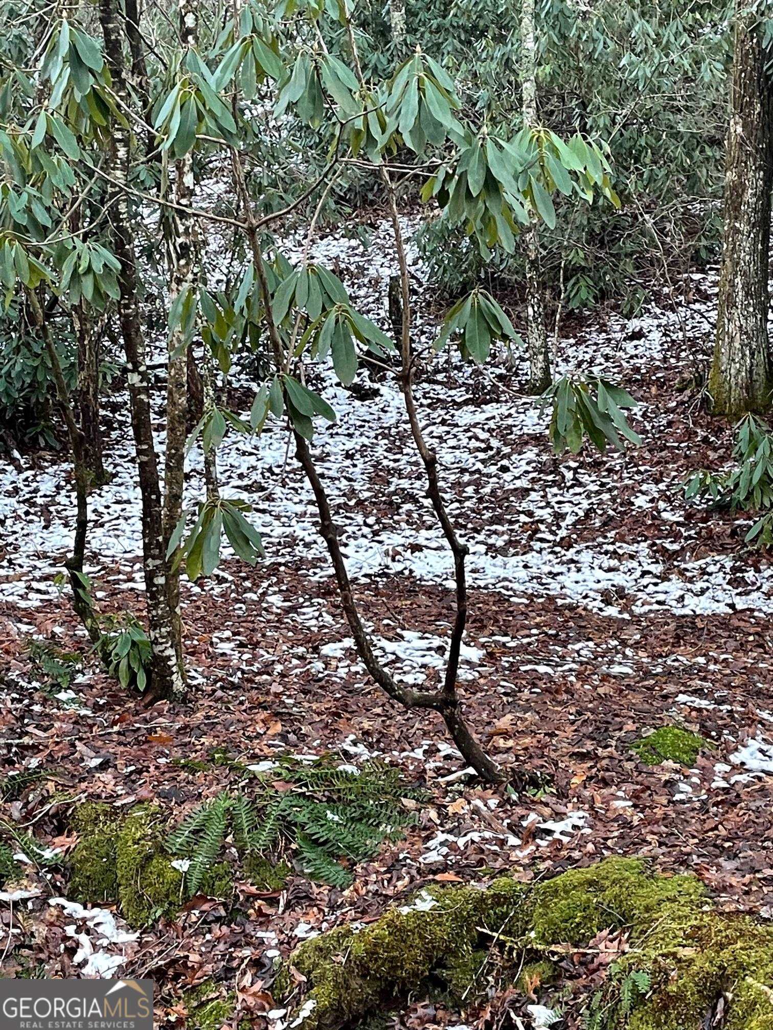 0 Lot 8 Bald Mountain Road Sky Valley GA 30537