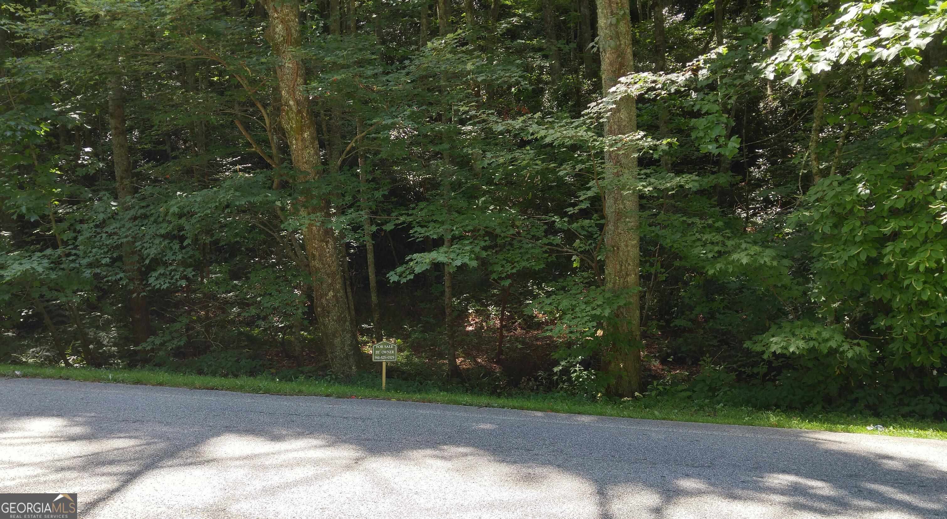 0 Lot 8 Bald Mountain Road Sky Valley GA 30537