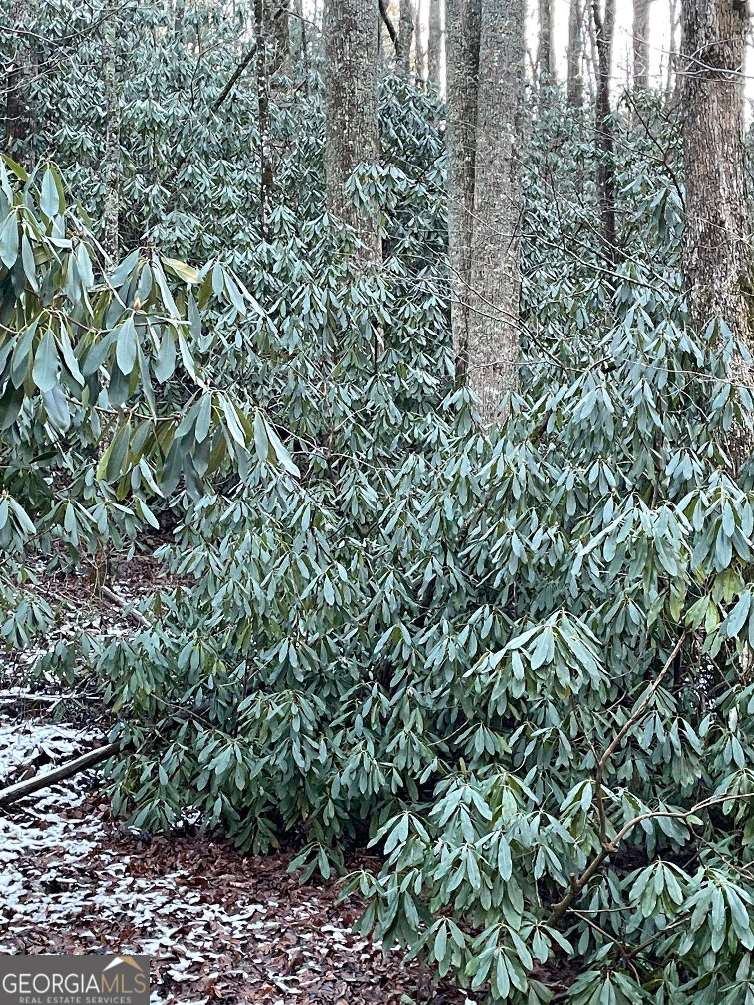 0 Lot 8 Bald Mountain Road Sky Valley GA 30537