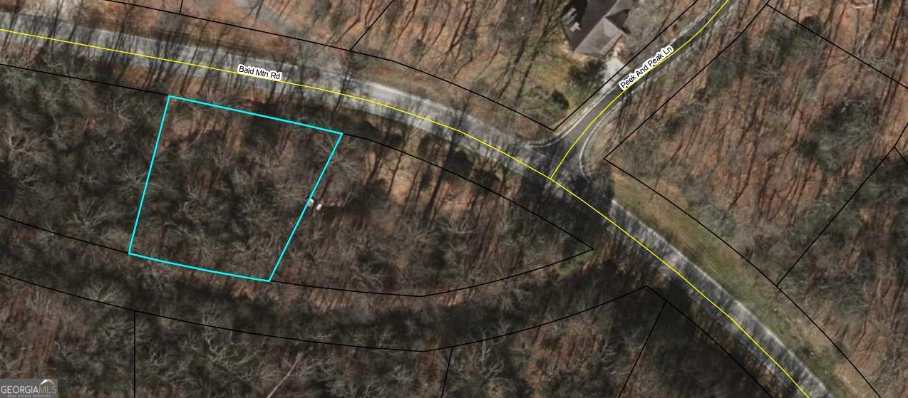 0 Lot 8 Bald Mountain Road Sky Valley GA 30537