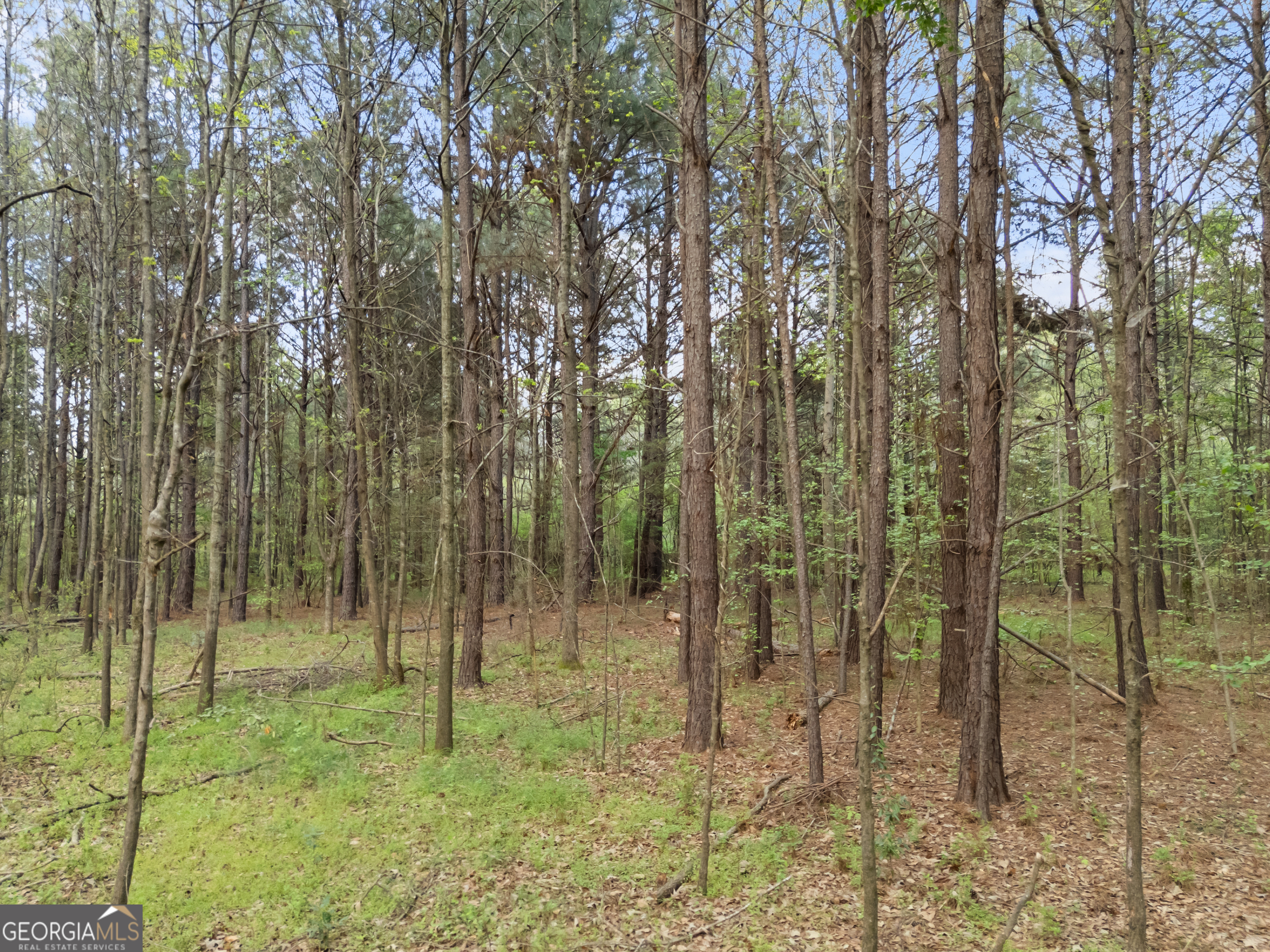 0 Stark Road Jackson GA 30233