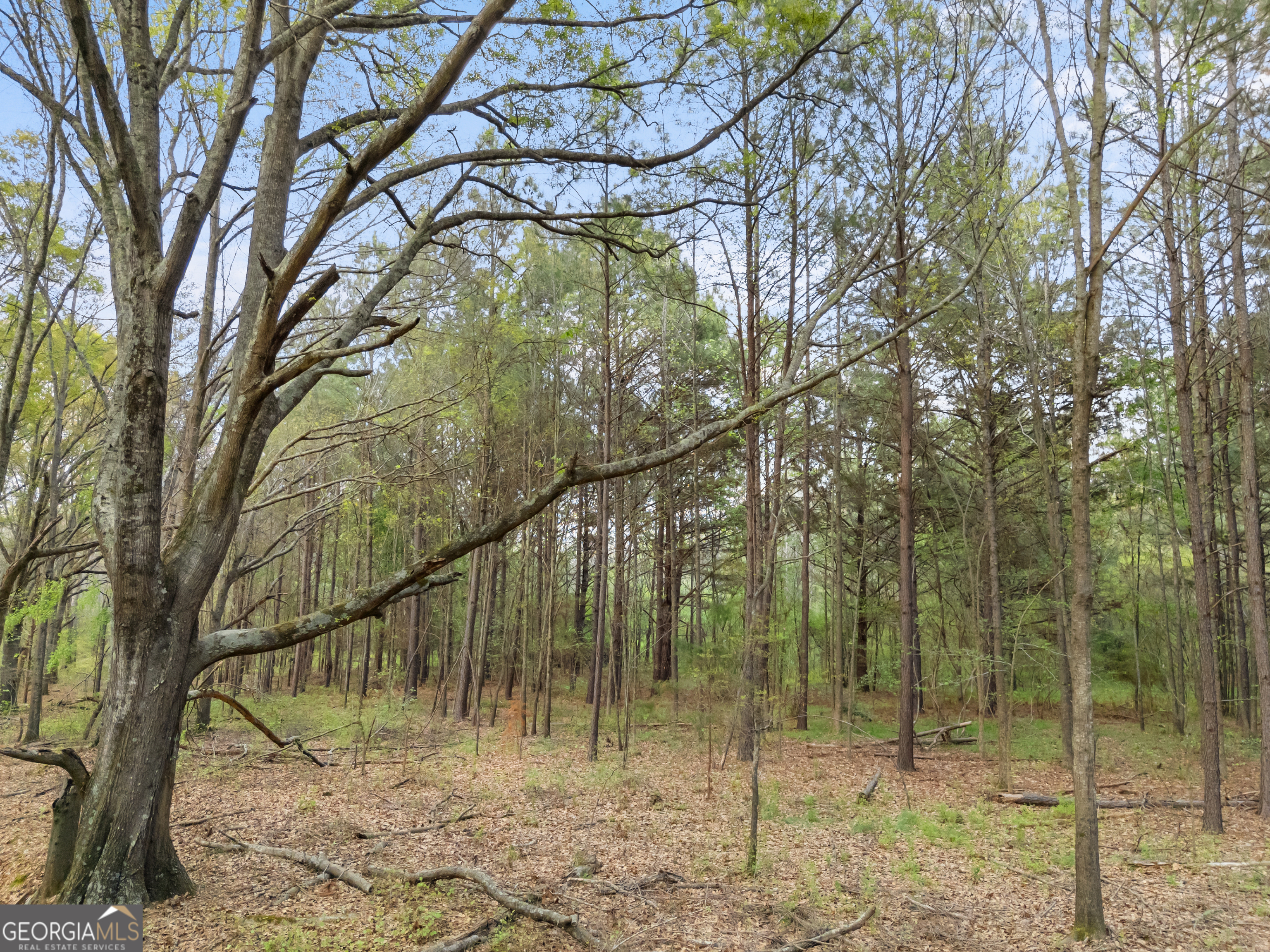 0 Stark Road Jackson GA 30233