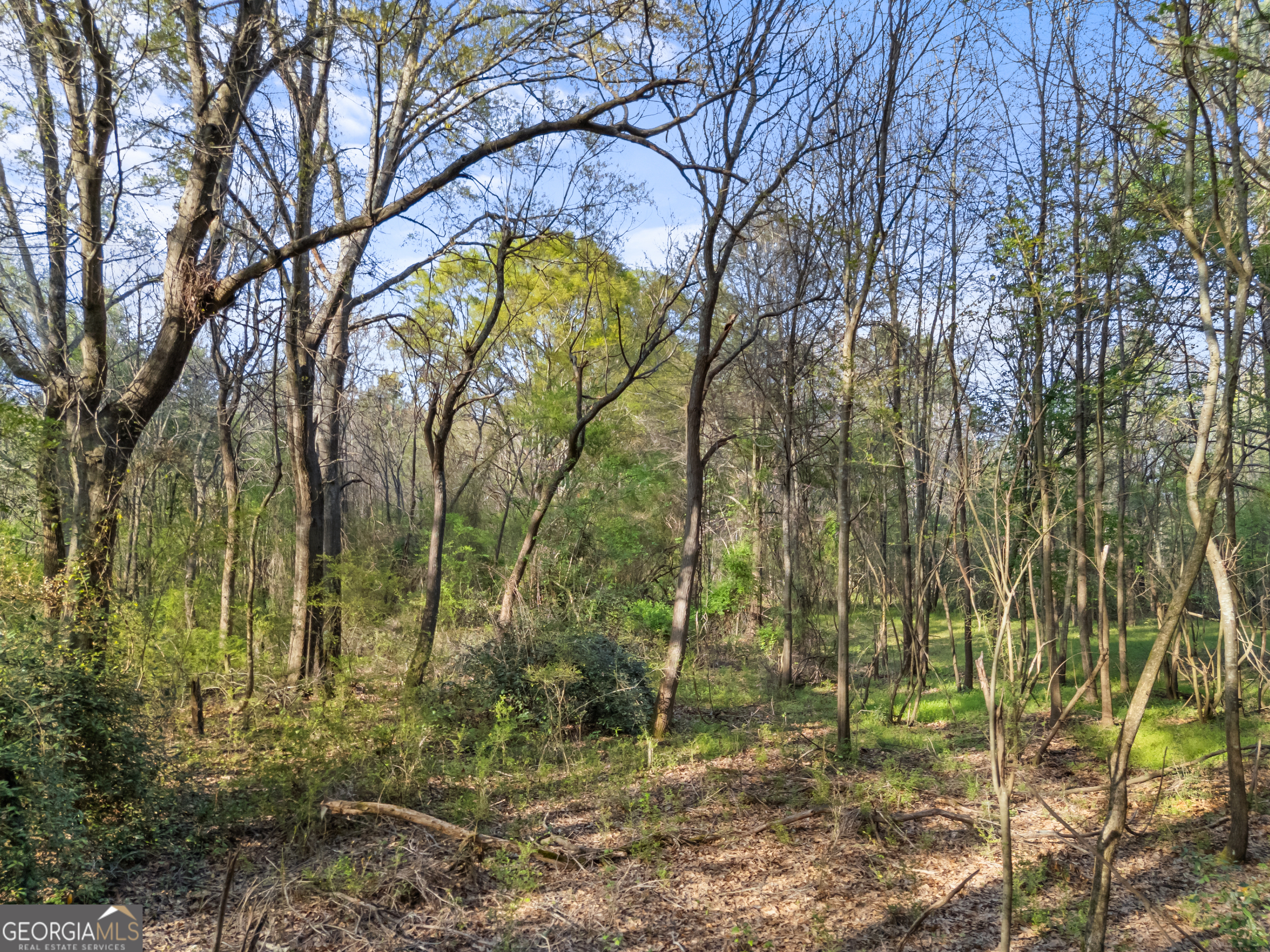 0 Stark Road Jackson GA 30233