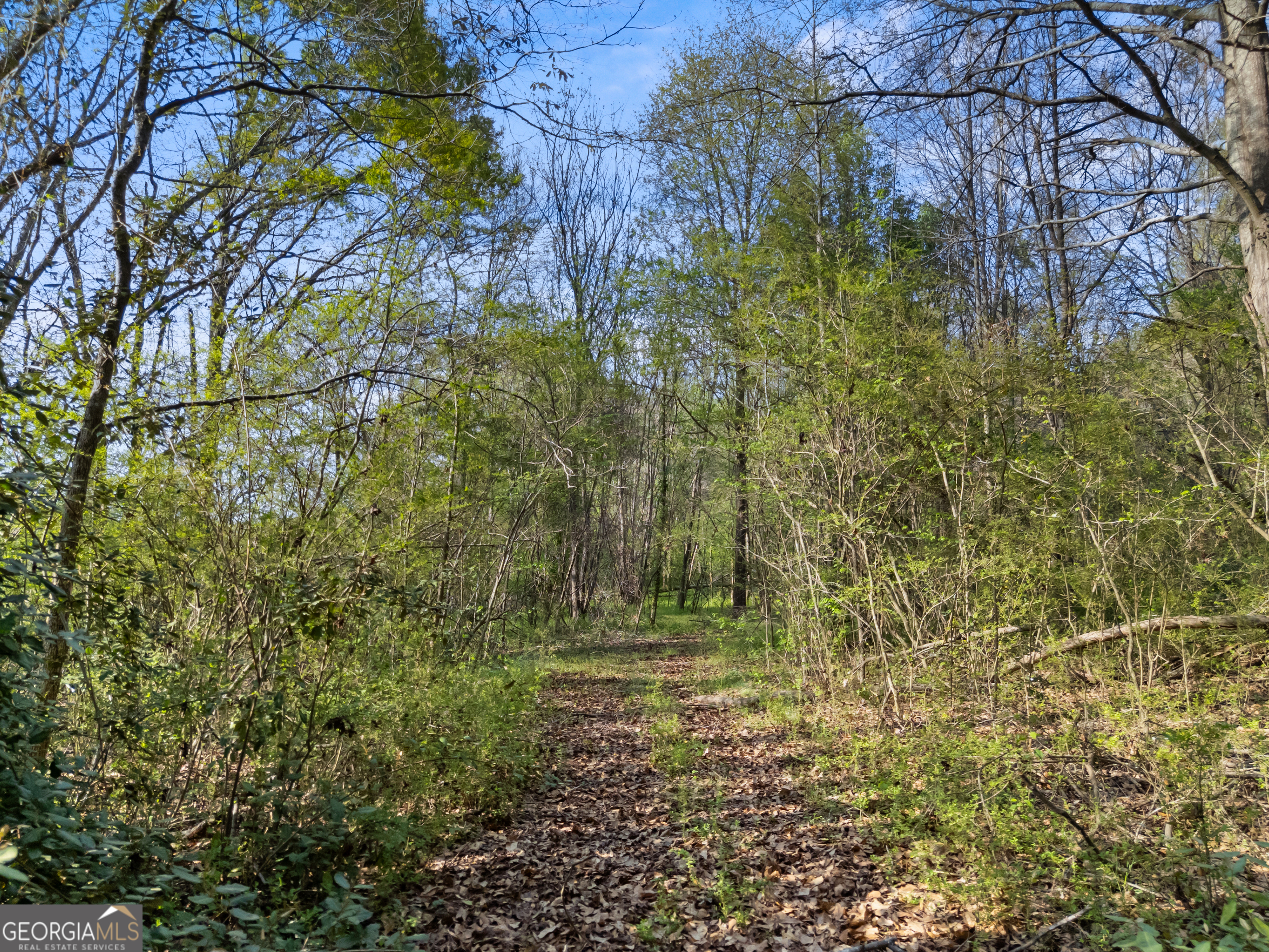 0 Stark Road Jackson GA 30233
