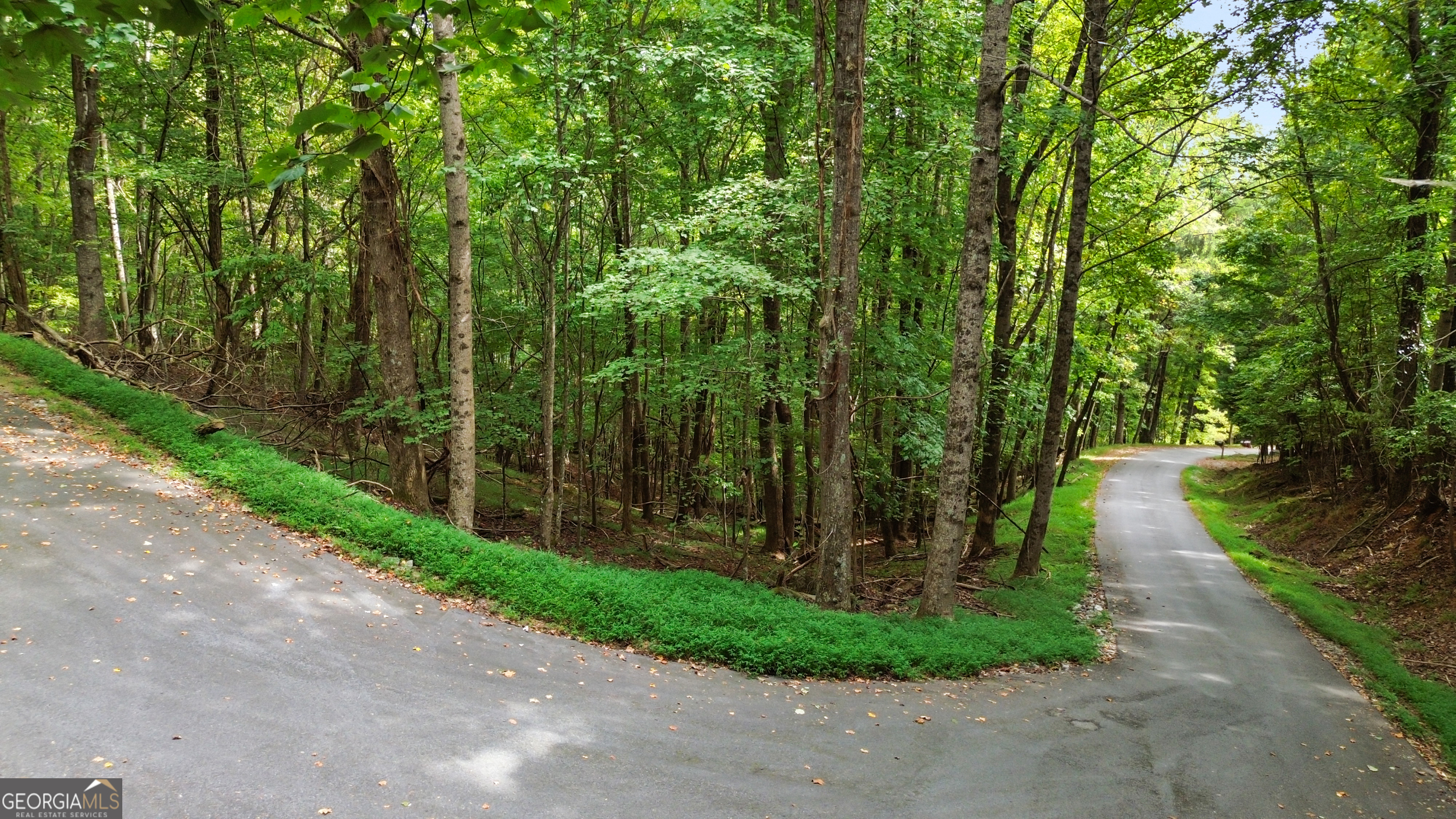 0 Sal Mountain Way Sautee Nacoochee GA 30571