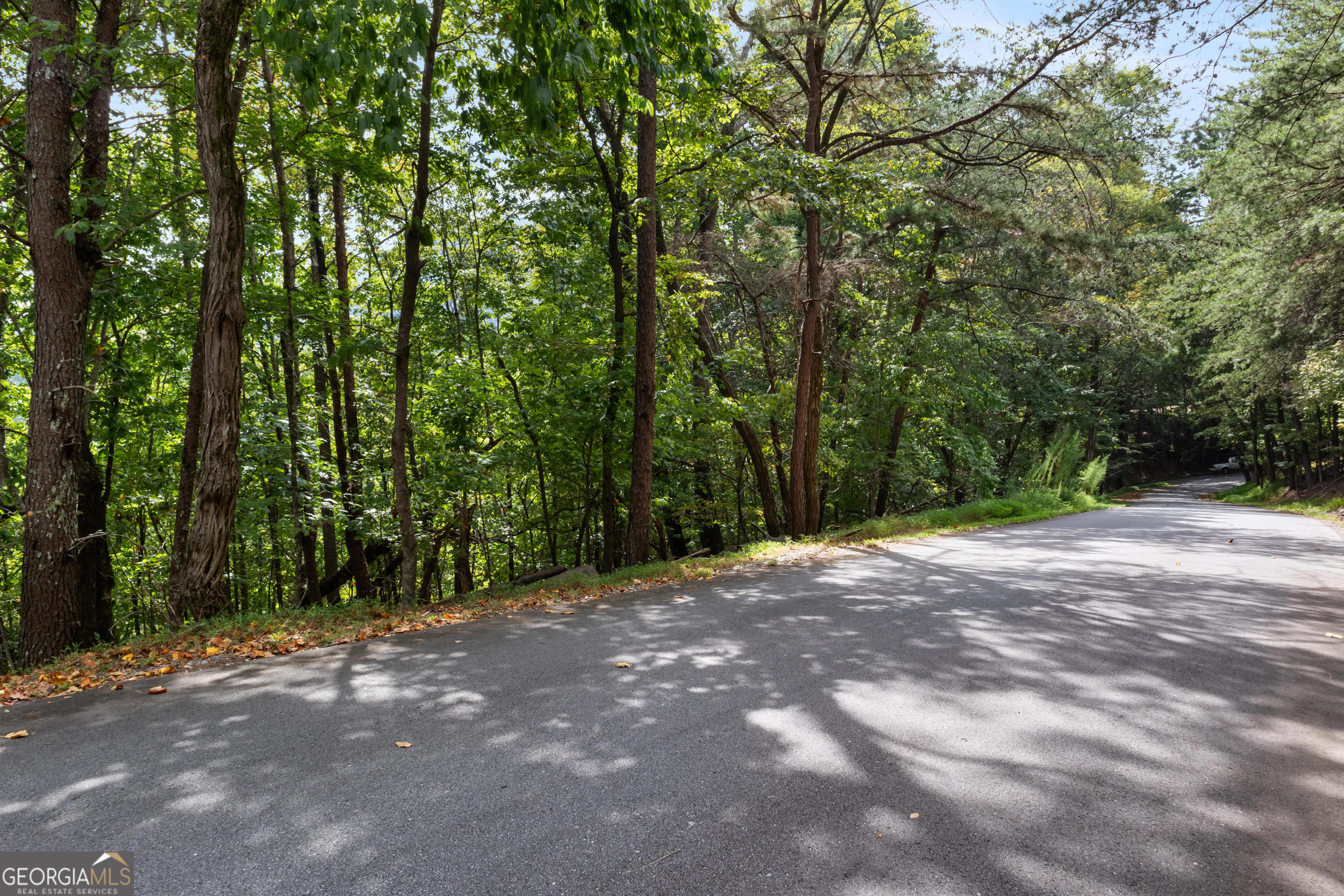 0 Sal Mountain Way Sautee Nacoochee GA 30571