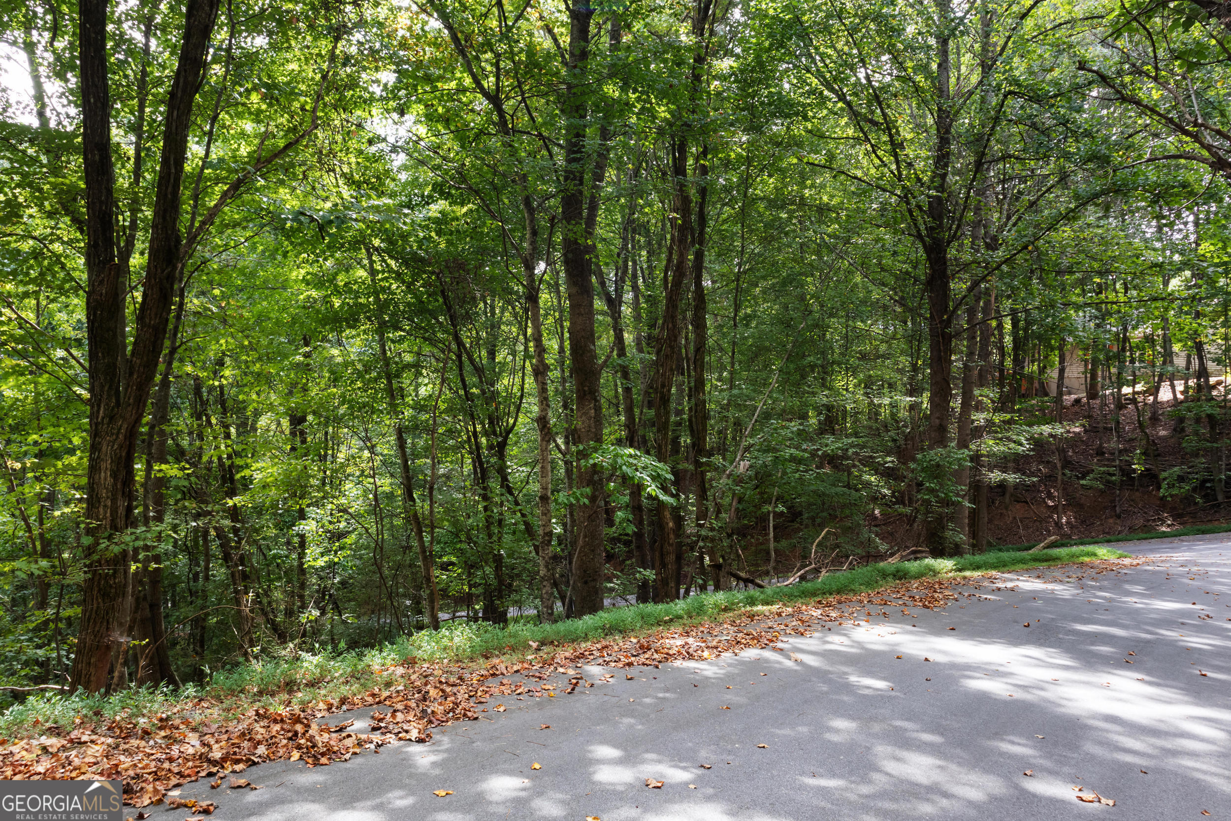 0 Sal Mountain Way Sautee Nacoochee GA 30571