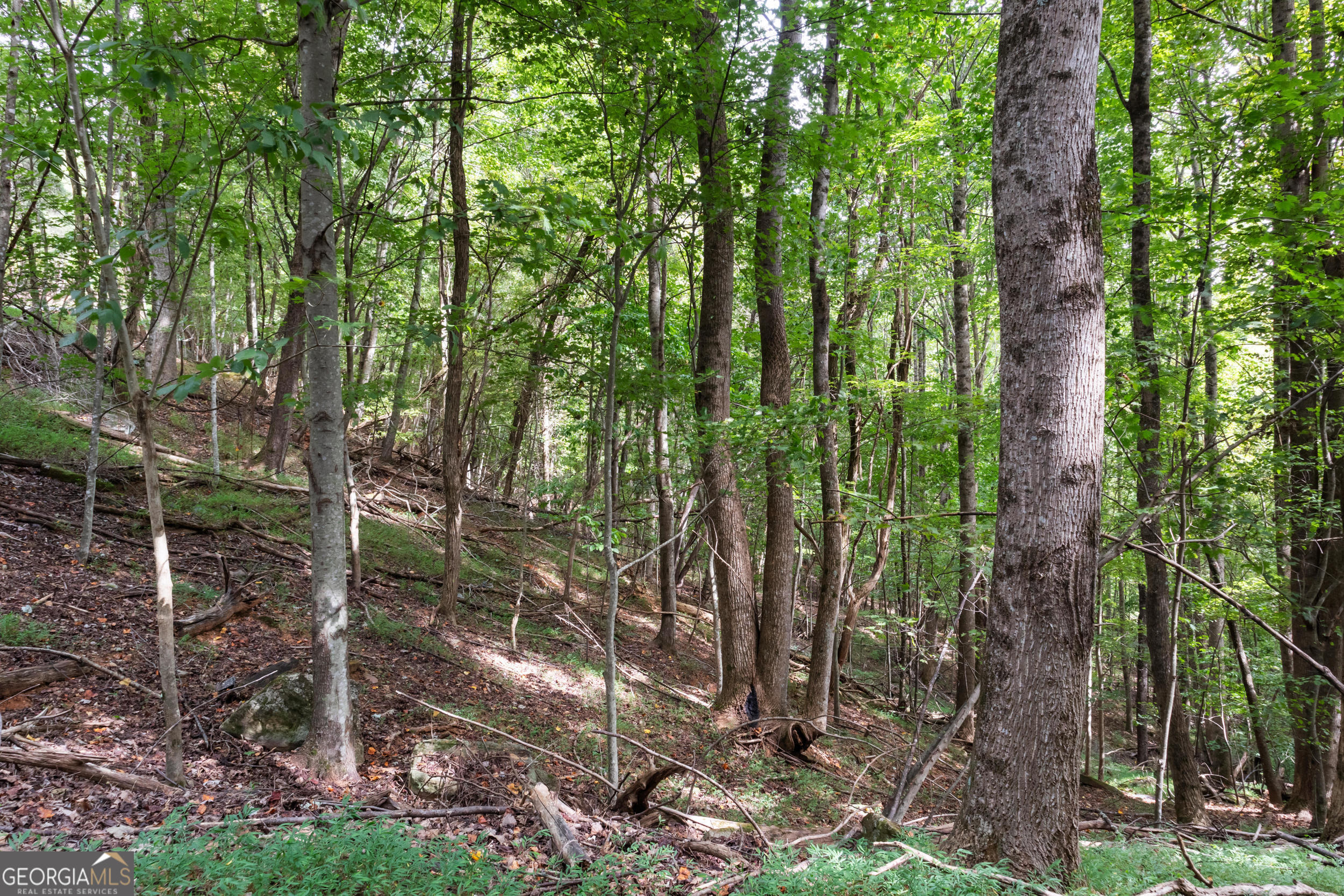 0 Sal Mountain Way Sautee Nacoochee GA 30571