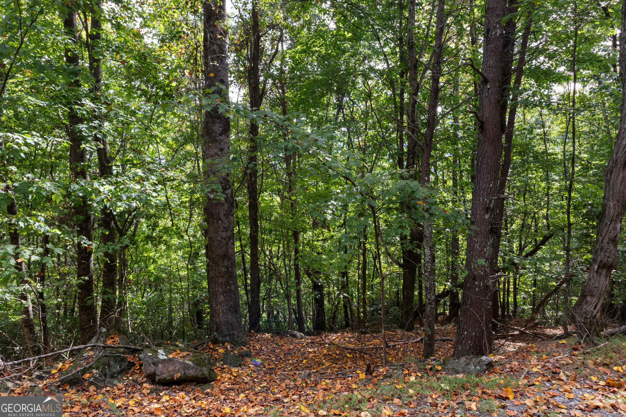 0 Sal Mountain Way Sautee Nacoochee GA 30571