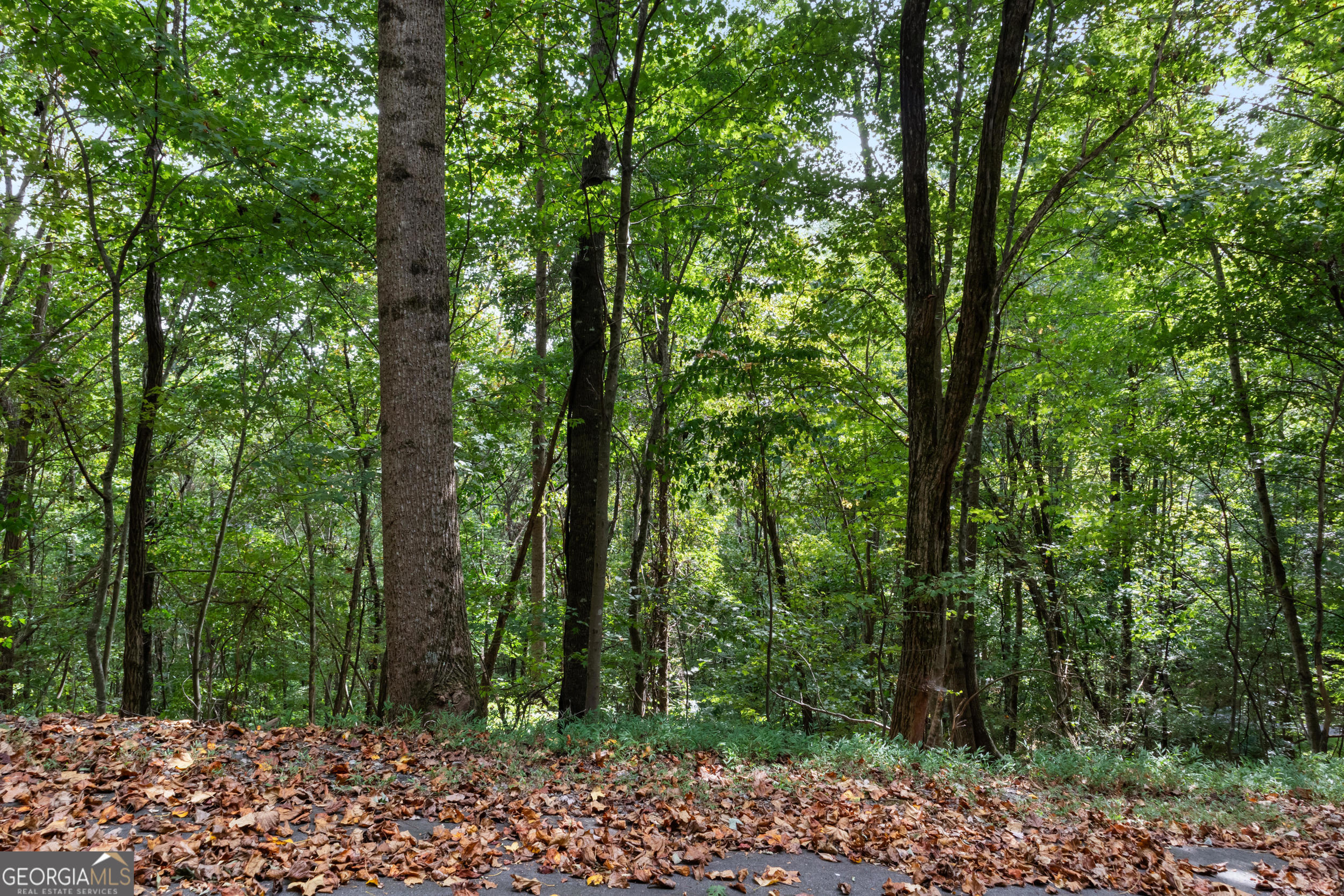 0 Sal Mountain Way Sautee Nacoochee GA 30571