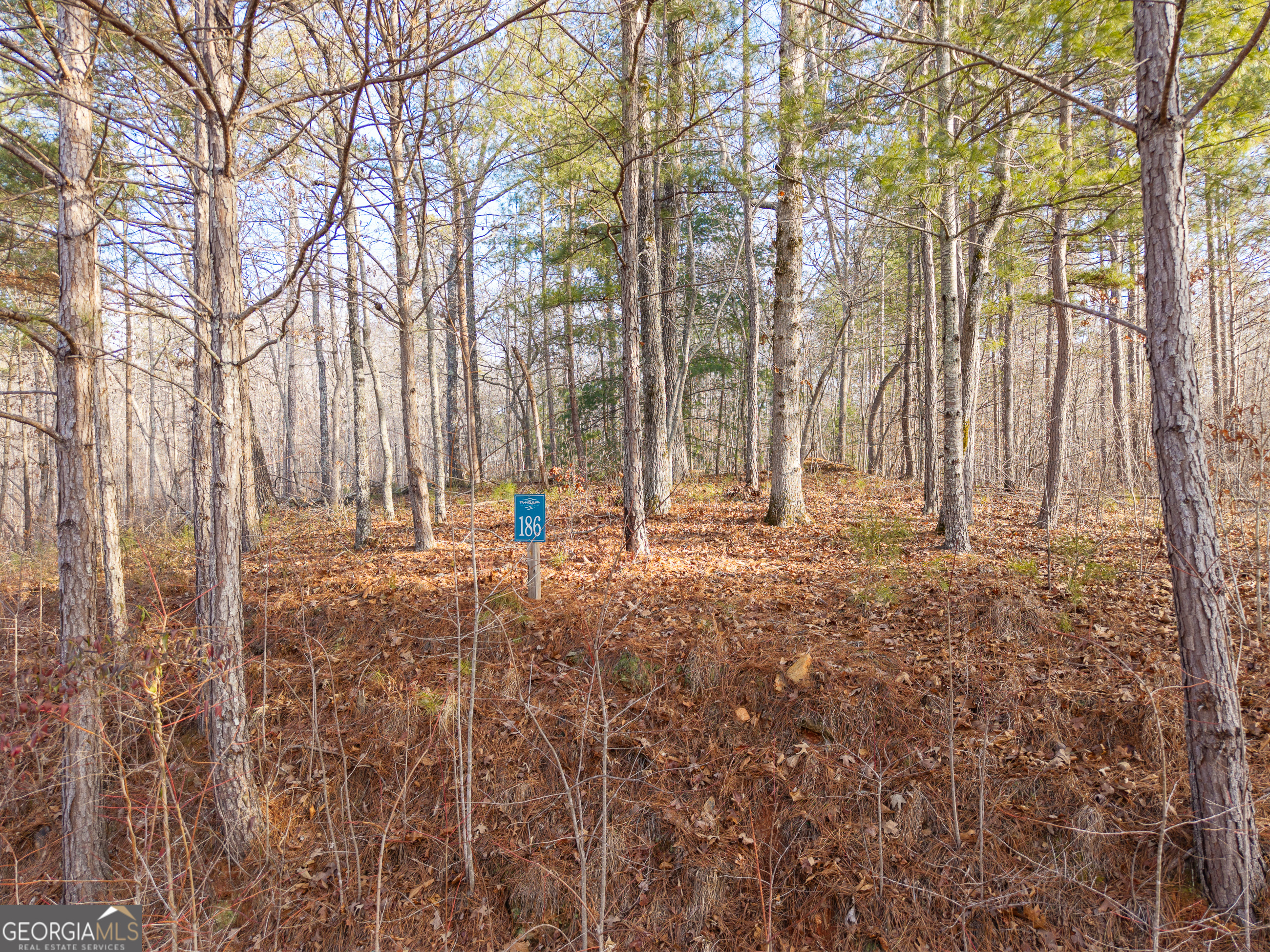 Lot 186 Harris Ridge Lane Ellijay GA 30540