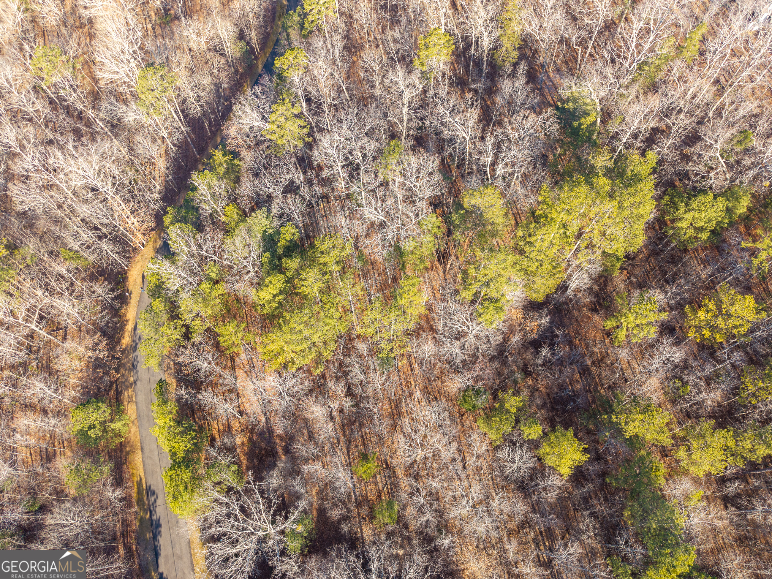 Lot 186 Harris Ridge Lane Ellijay GA 30540