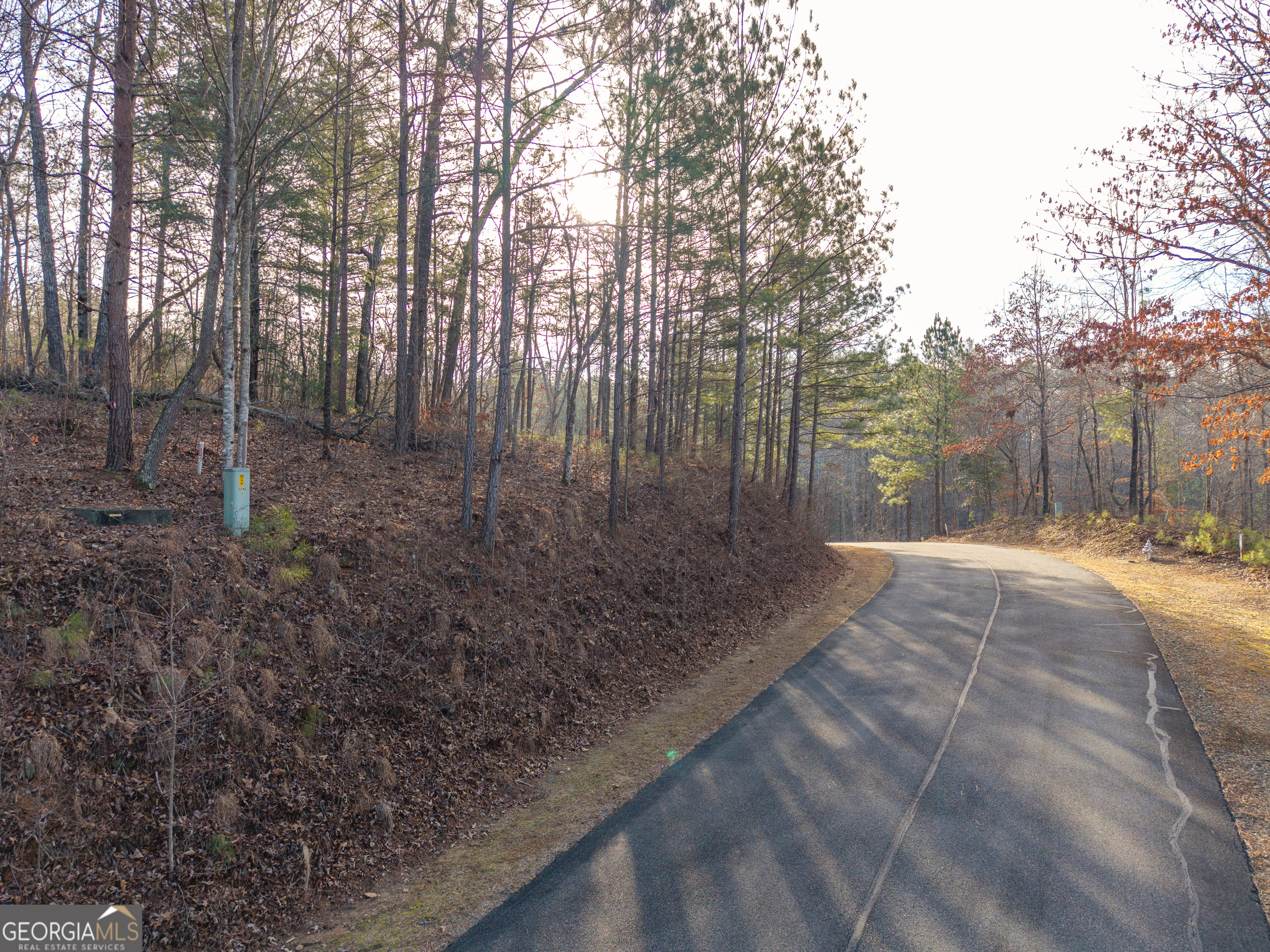 Lot 186 Harris Ridge Lane Ellijay GA 30540