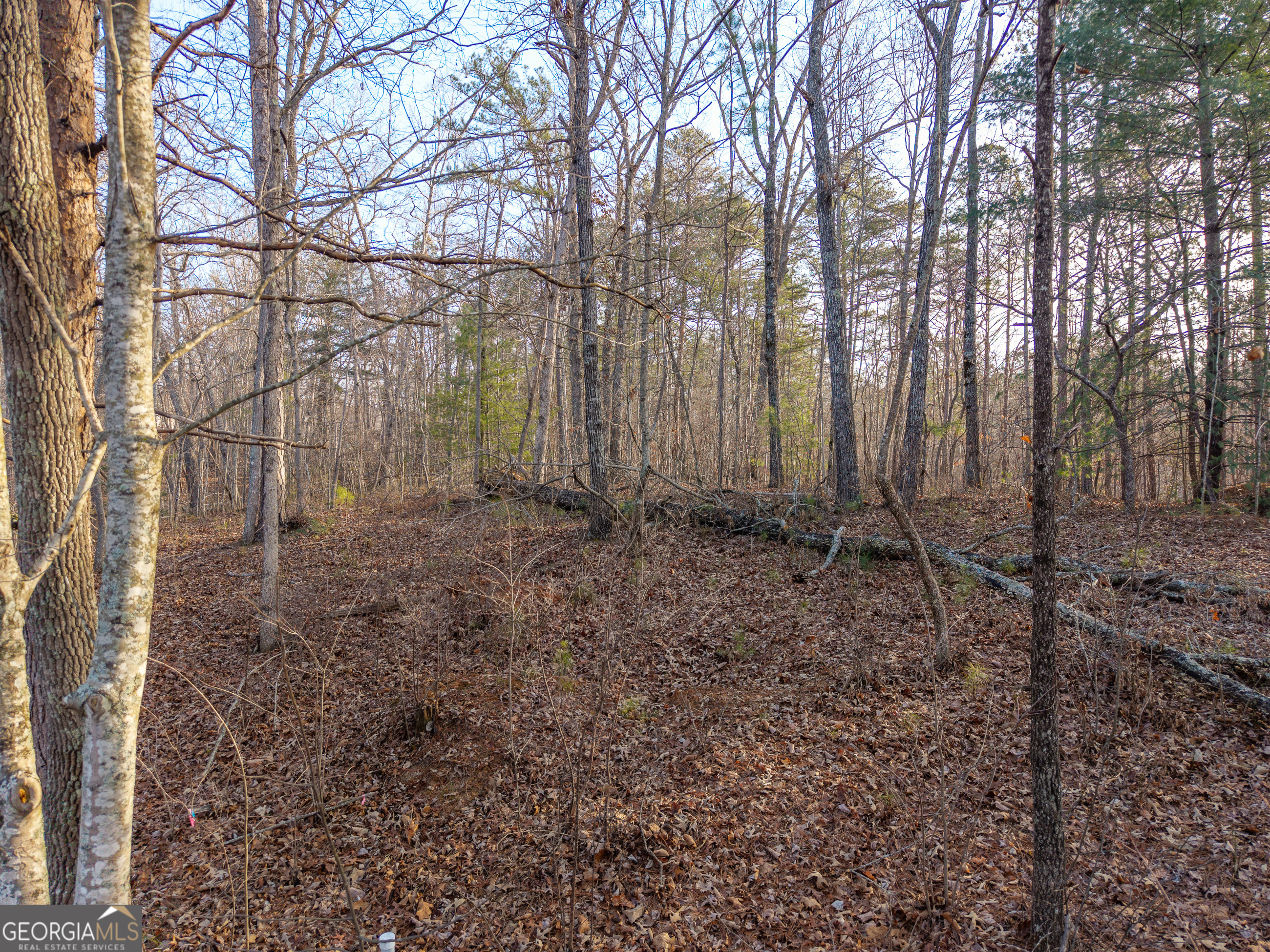 Lot 186 Harris Ridge Lane Ellijay GA 30540