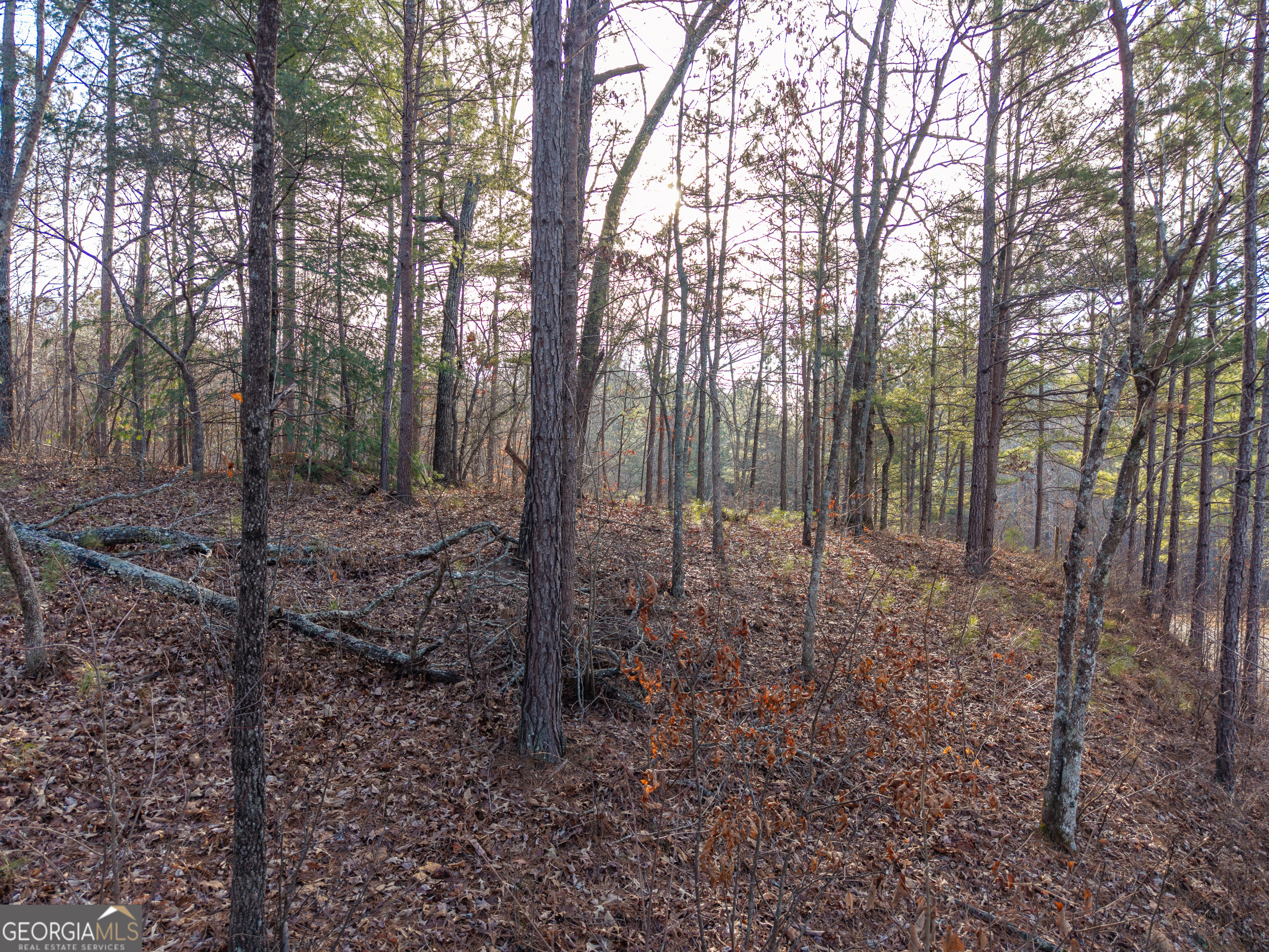 Lot 186 Harris Ridge Lane Ellijay GA 30540