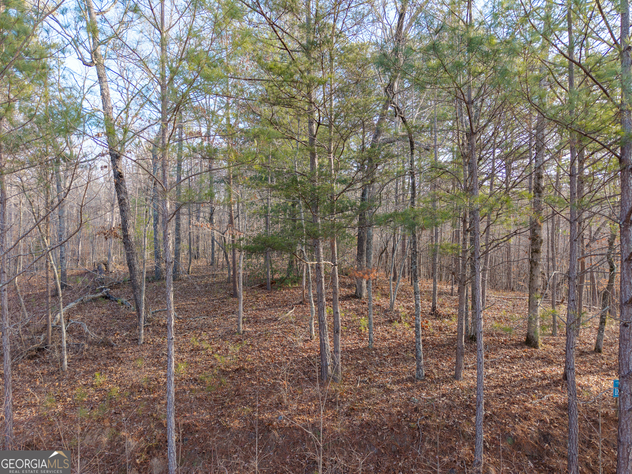 Lot 186 Harris Ridge Lane Ellijay GA 30540