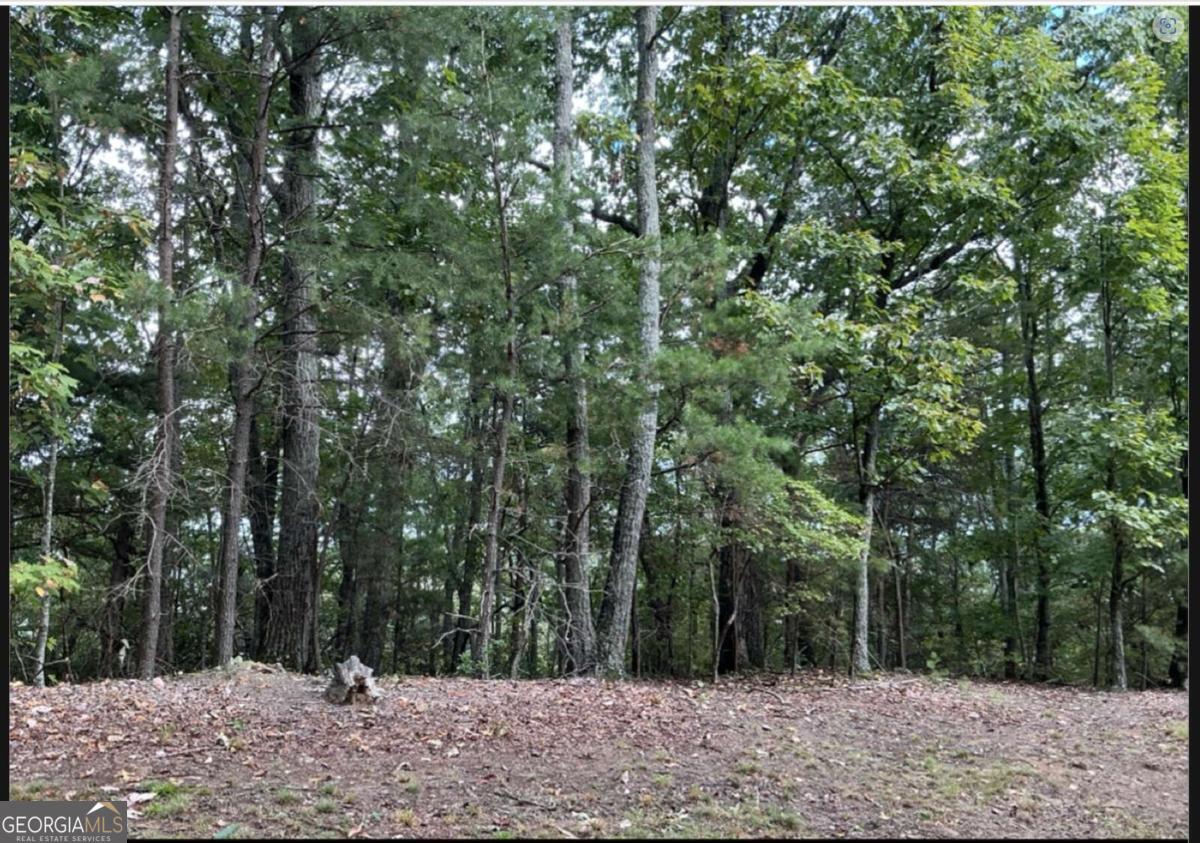 0 W Farmview Road Ellijay GA 30175