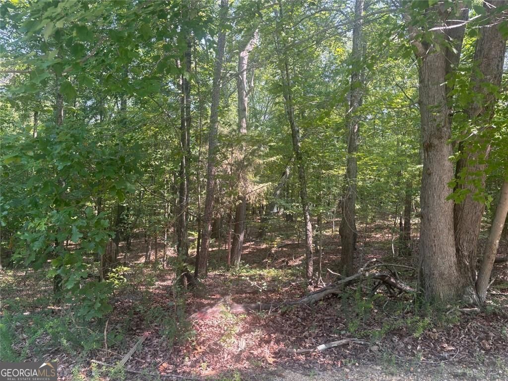 13 Jewell Drive SE Rome GA 30161