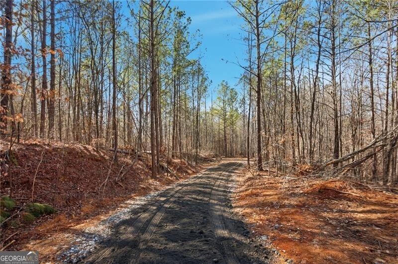 6.731 Acres On Pete Path Dallas GA 30157