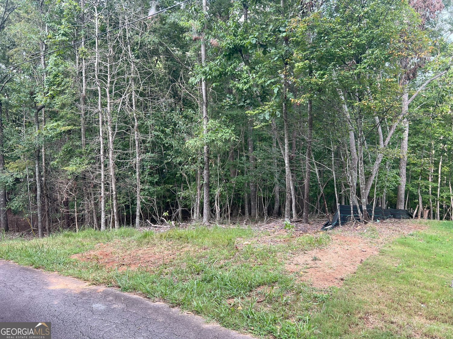 7620 Maple Place Murrayville GA 30564