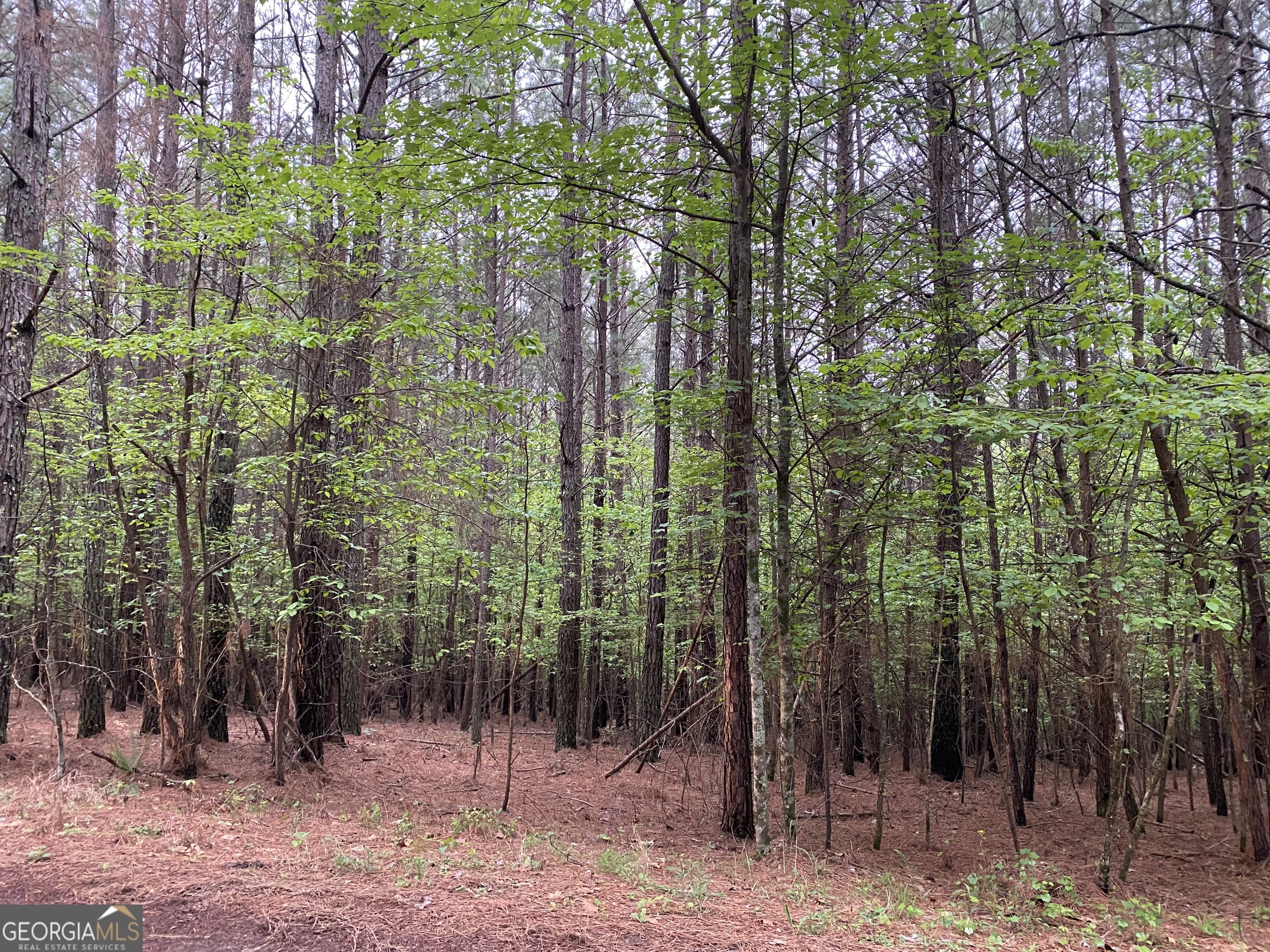 0 Mull Drive Mineral Bluff GA 30559