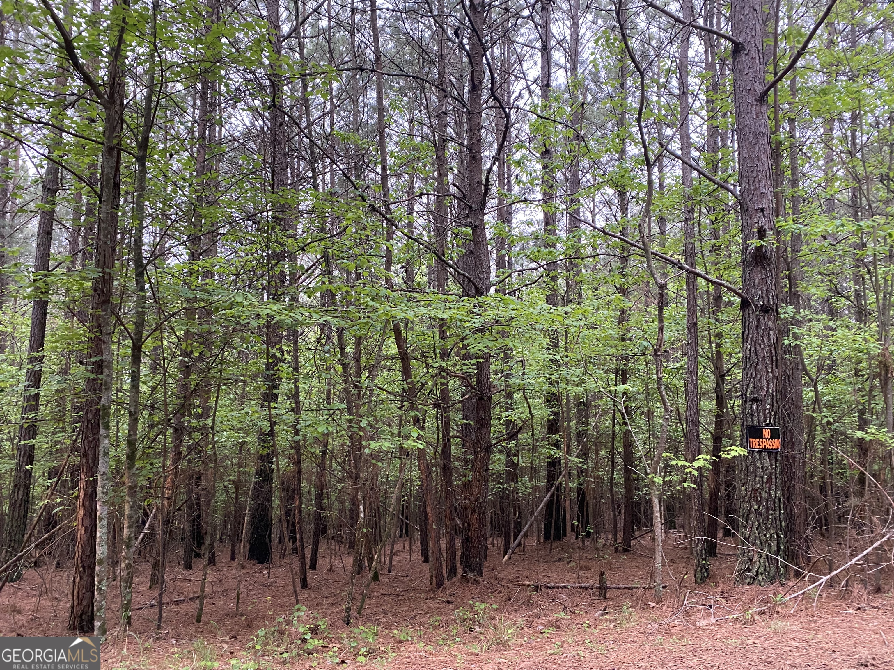 0 Mull Drive Mineral Bluff GA 30559