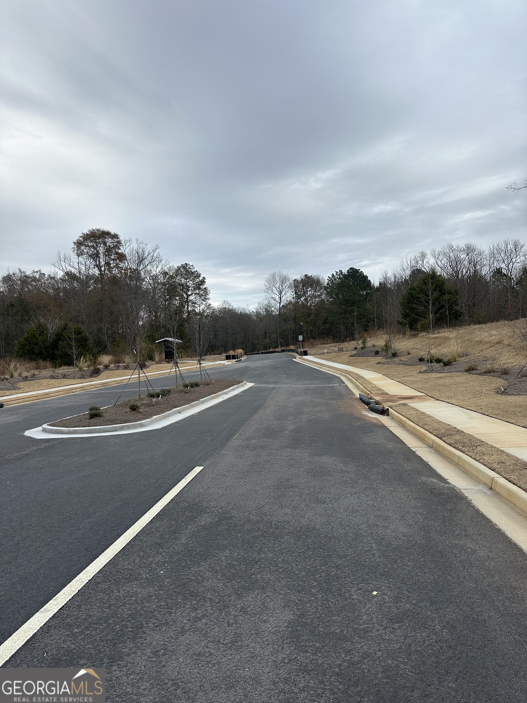 100 Edmonson Way Stockbridge GA 30281