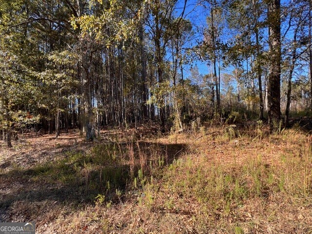 0 Etchison Spur Loganville GA 30052